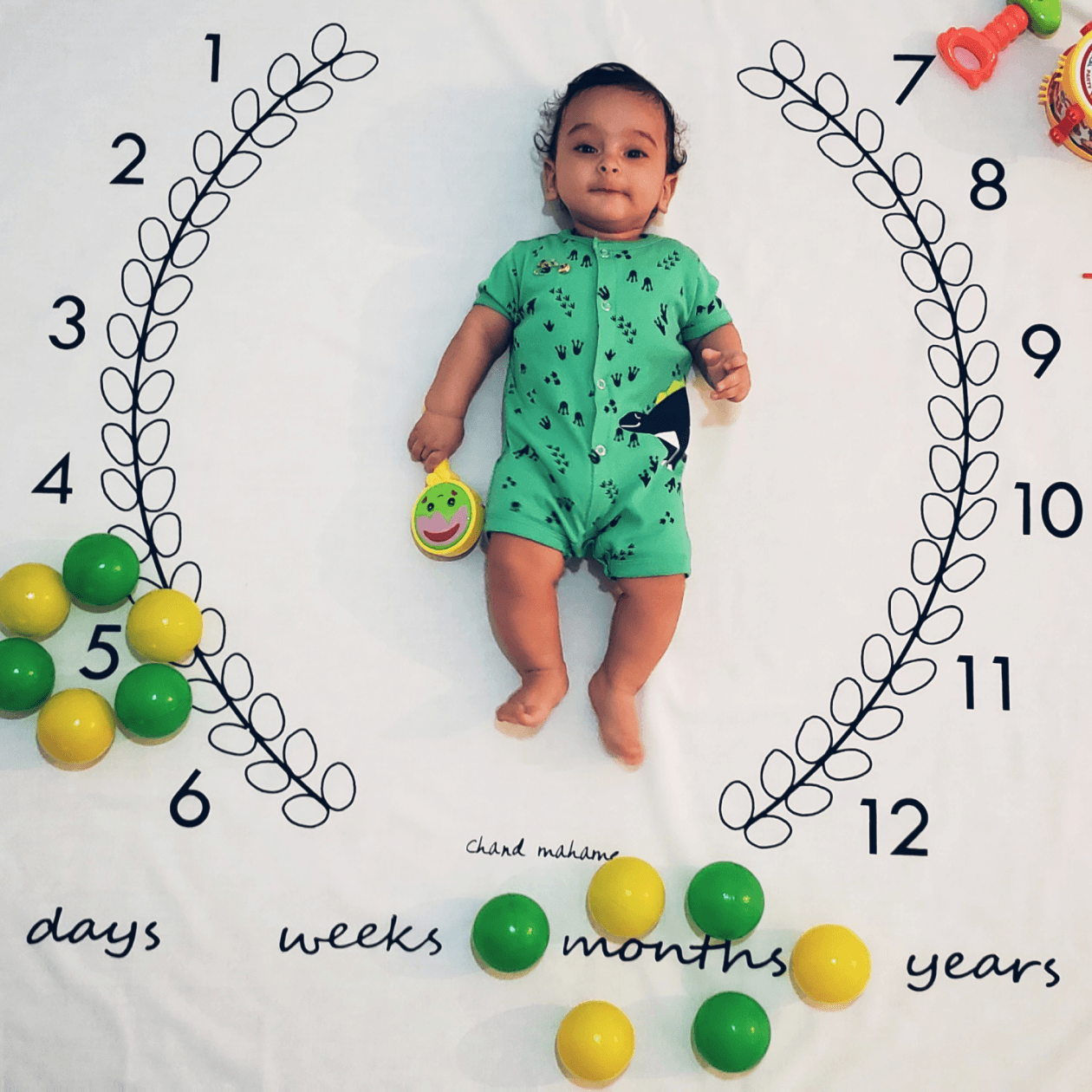 شش ماهگی نوزاد شاهان امینی