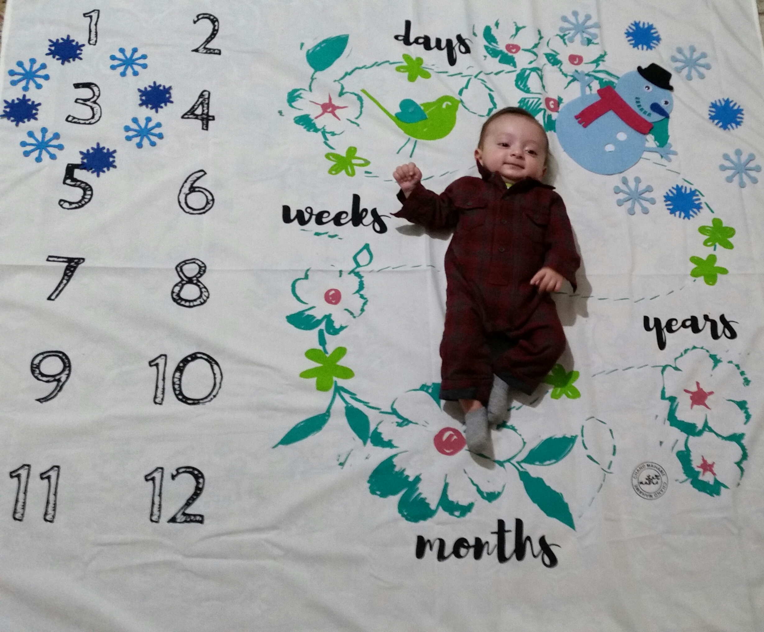 تم زمستانی ژیوان فیضی zhiwan feyzi