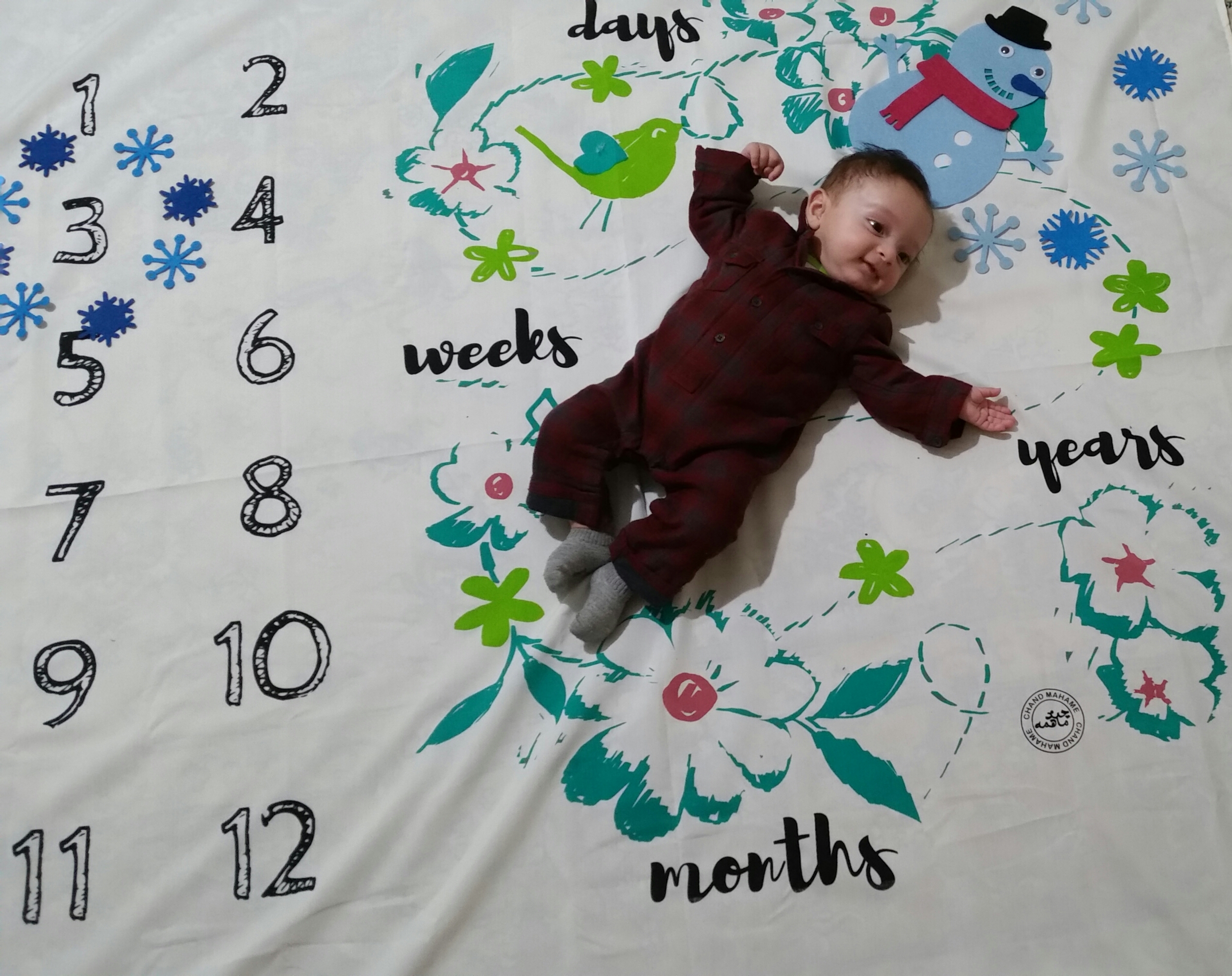 تم-های-عکاسی-9656