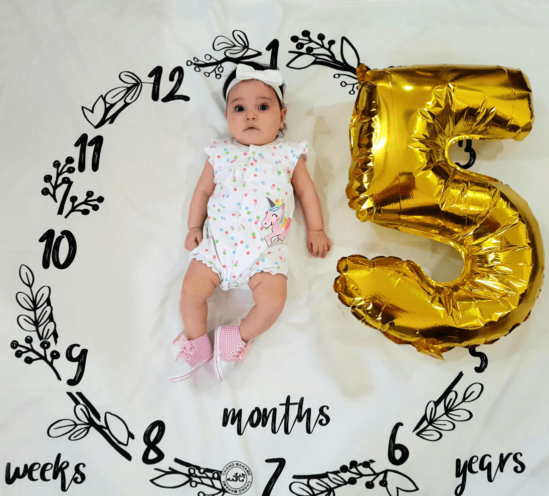 پارچه-های-عکاسی-20240