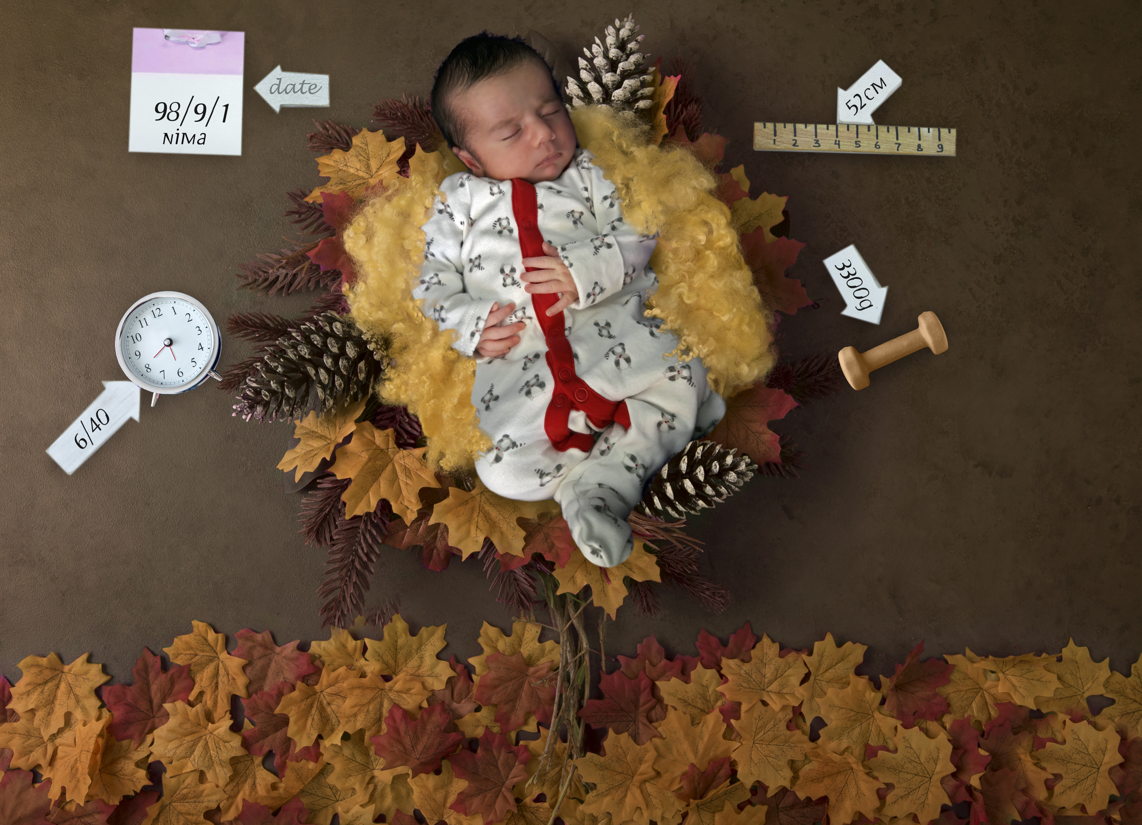 متولد شدن نوزاد نیما