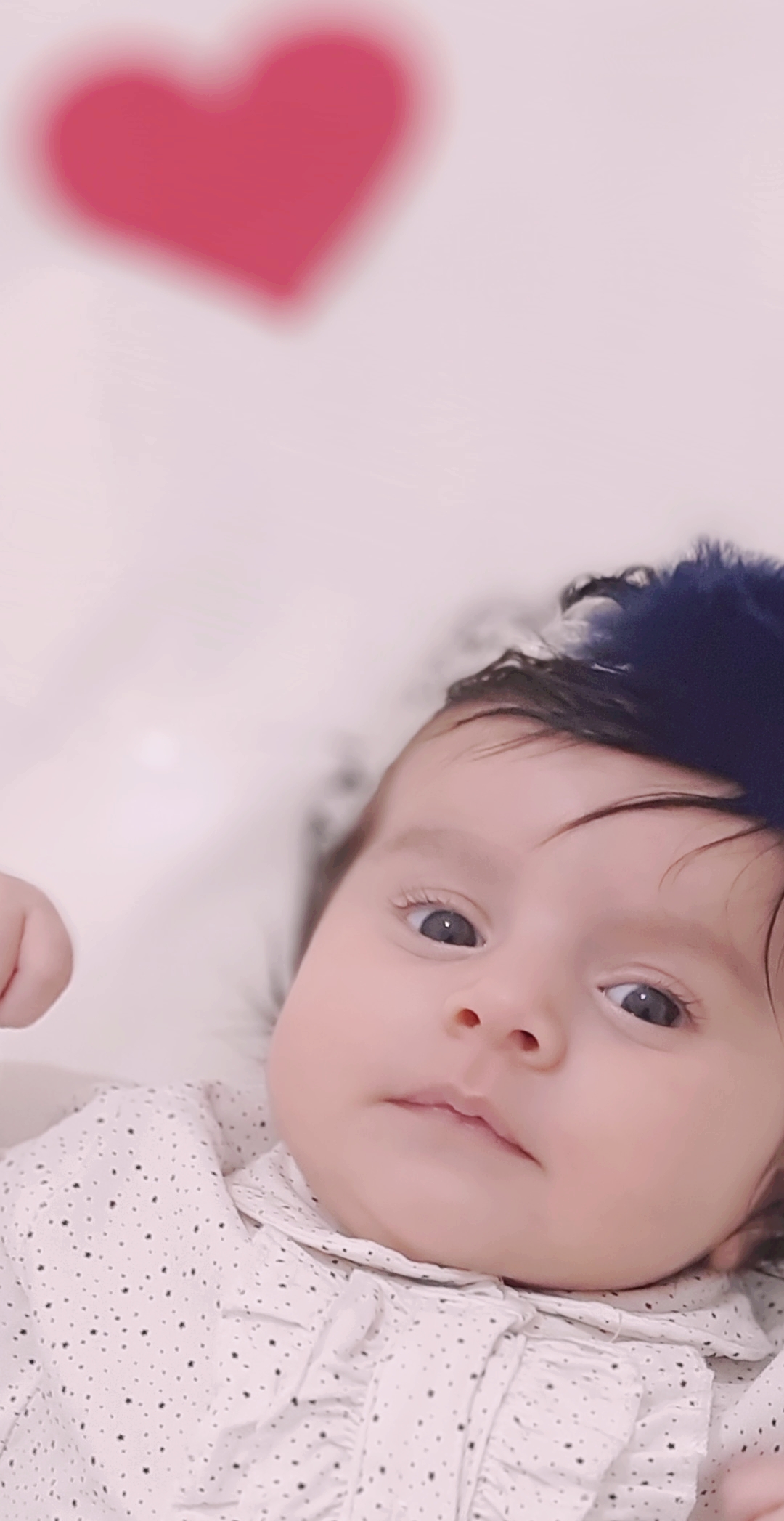 تم و تزیینات نمدی طرح فانتزی آنارز غریب زاده