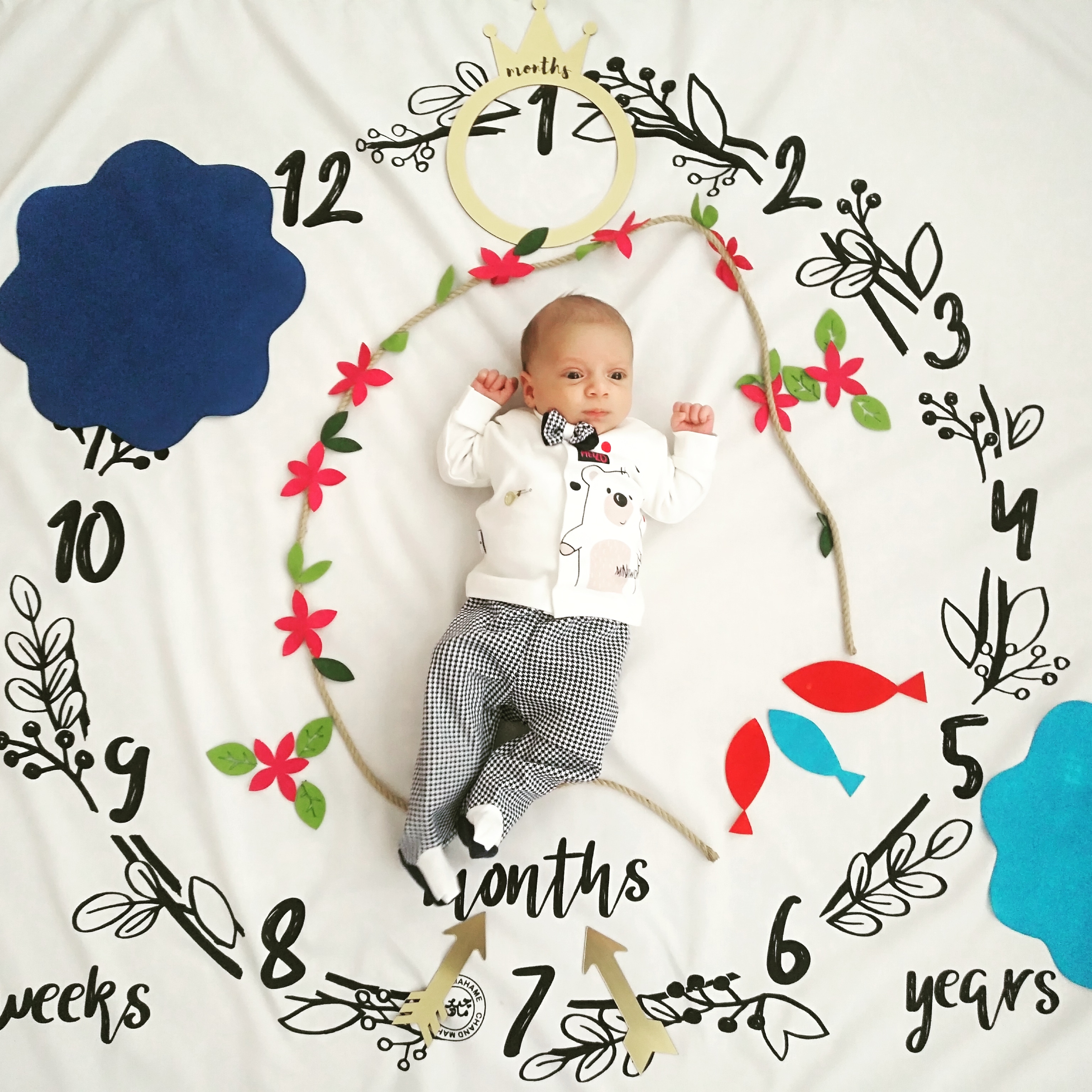 یک ماهگی نوزاد سپهر غفوری