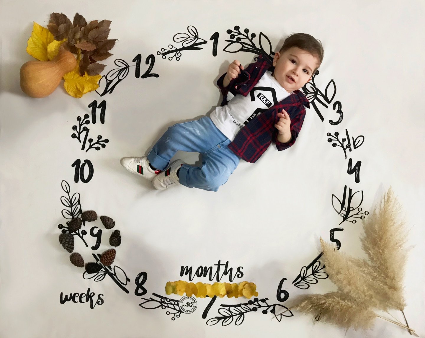 تم عکس پاییزی نوزاد ايليا خسروي