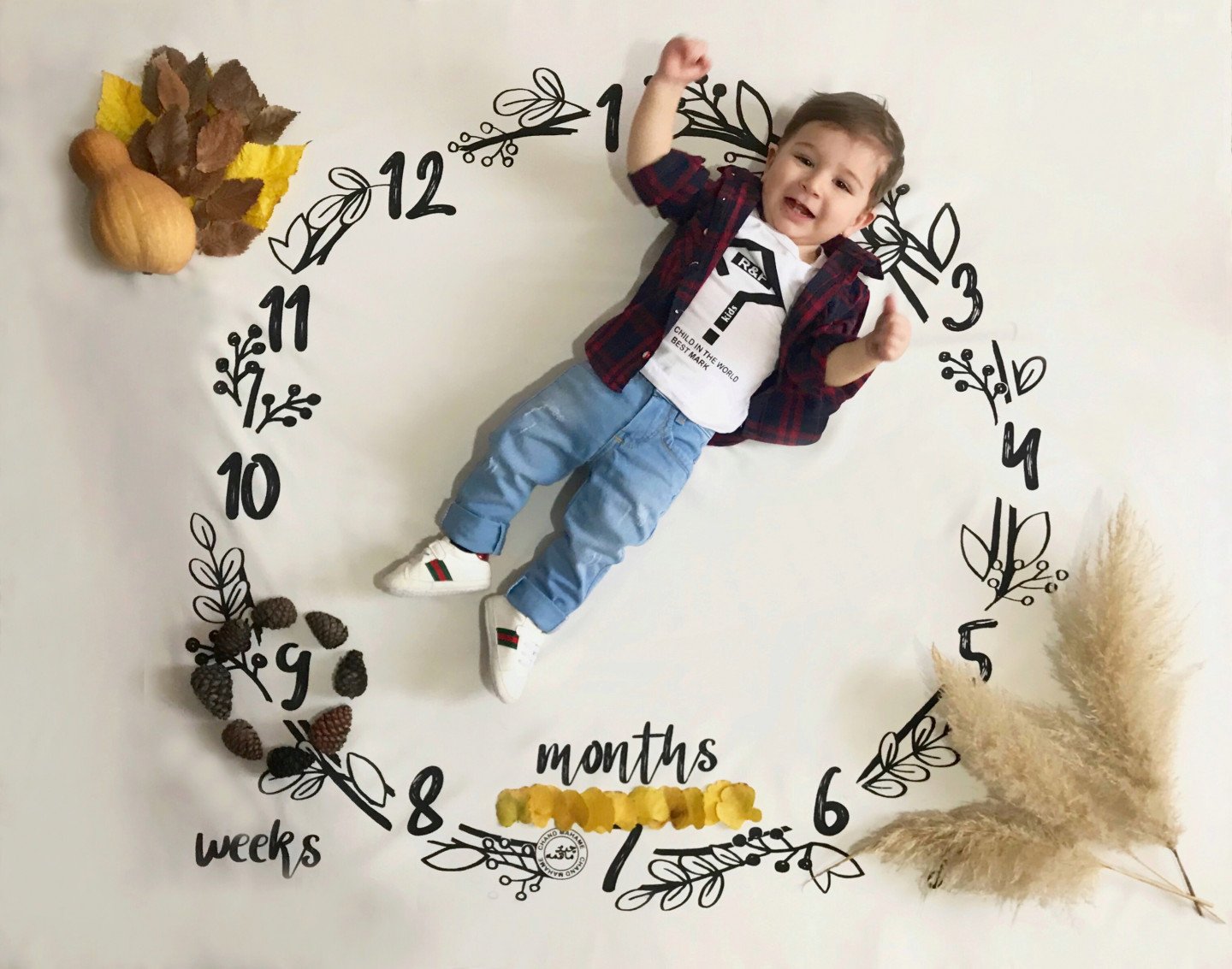 تم عکس پاییزی نوزاد ايليا خسروي