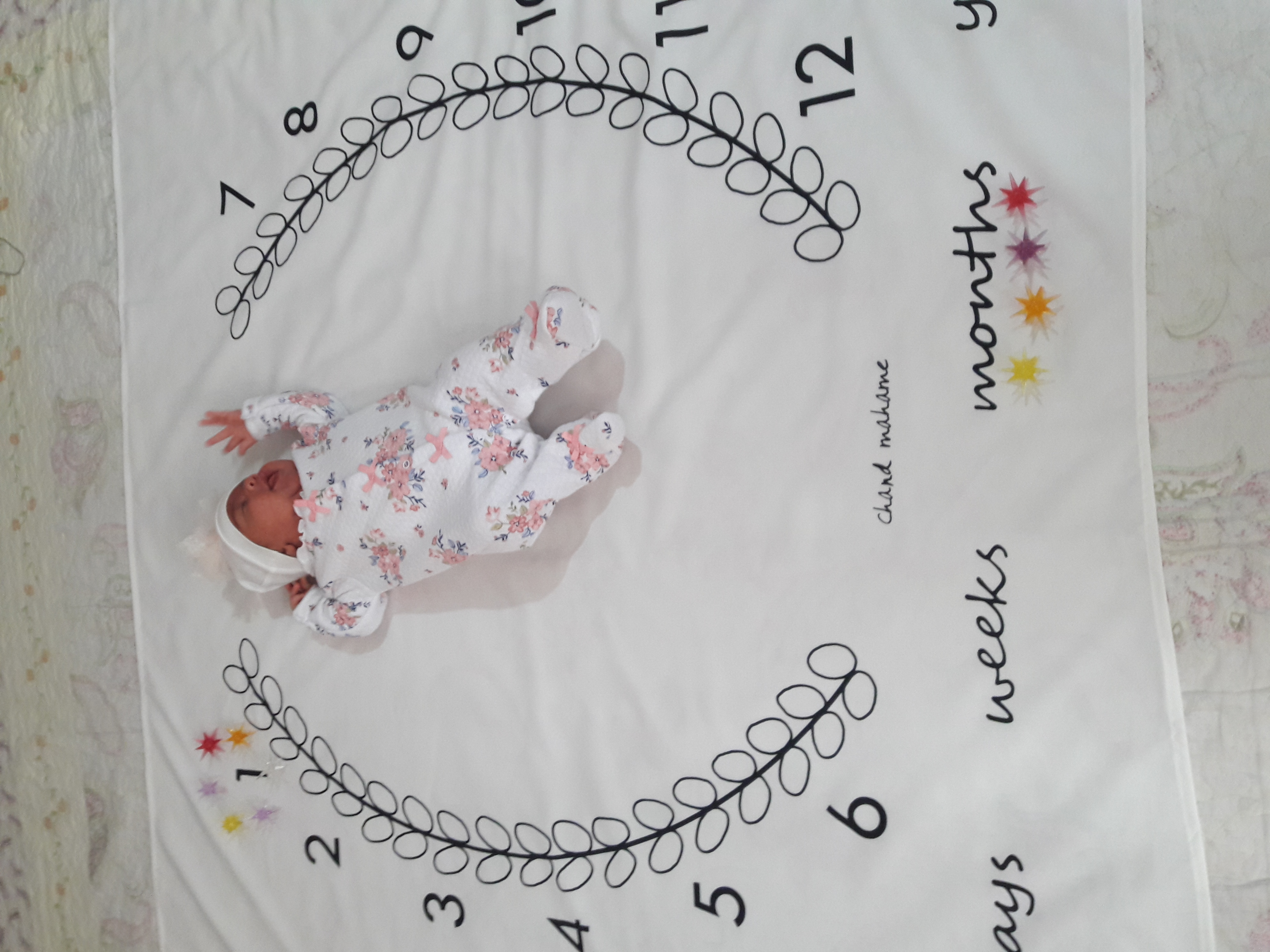 پارچه ماه شمار طرح شاخه زیتون فاطمه صفایی