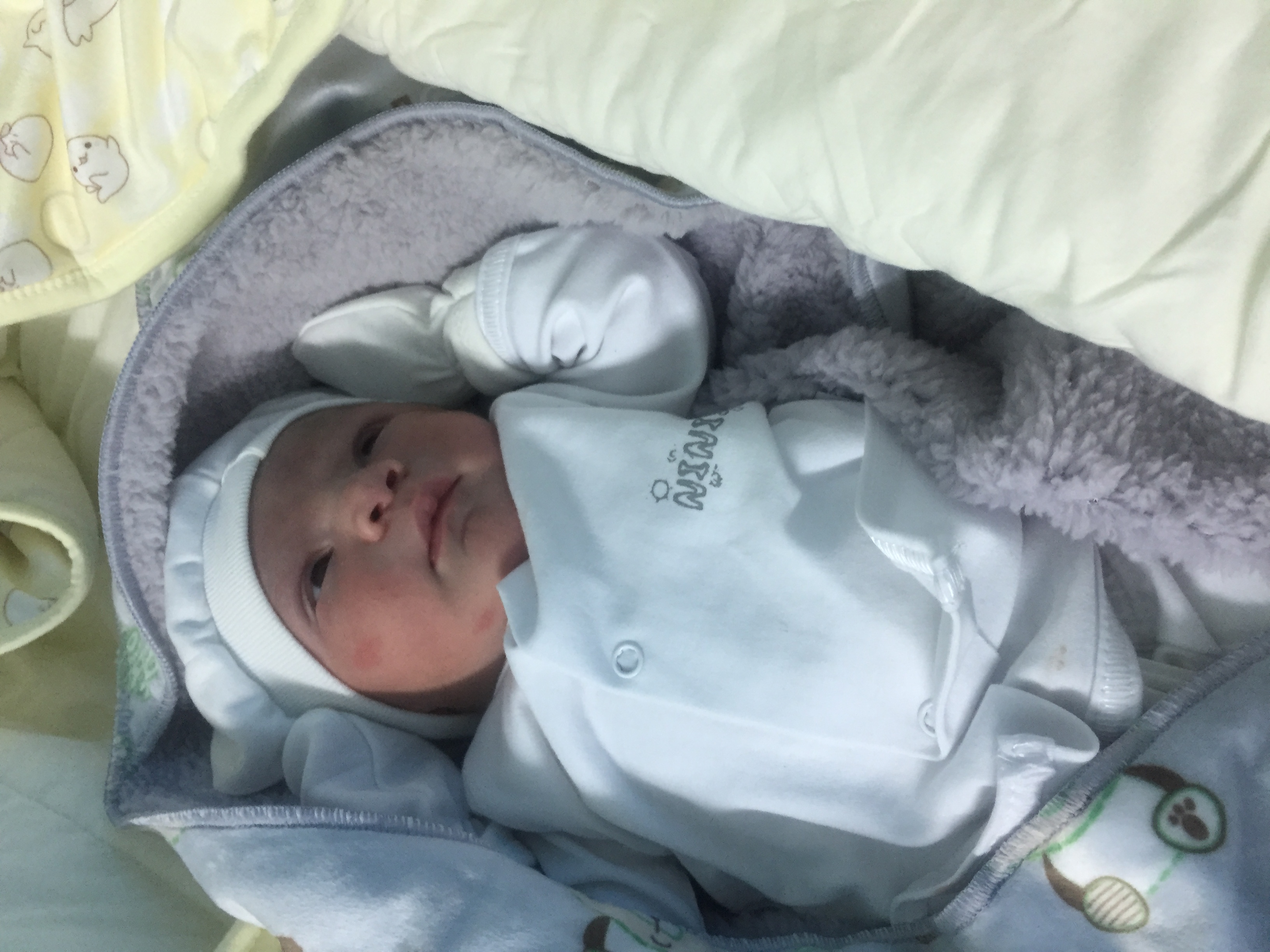 عید نوروز مارتيا سبزيان فرد