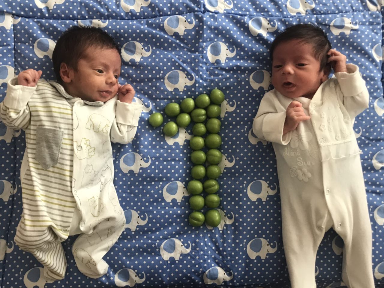 تم عکس بهاری کودک سایا و سایمان عبدی