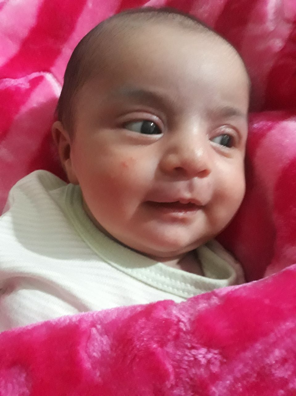 عید نوروز آوا پیرنیا