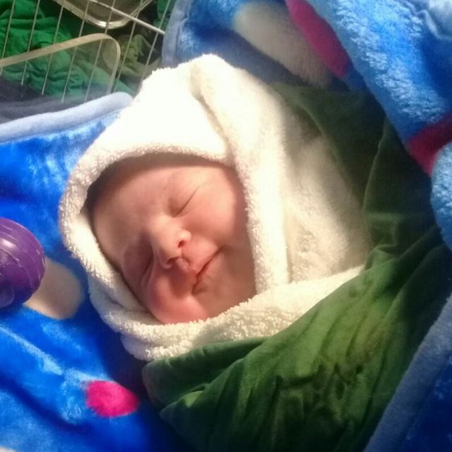 عید نوروز آوا پیرنیا