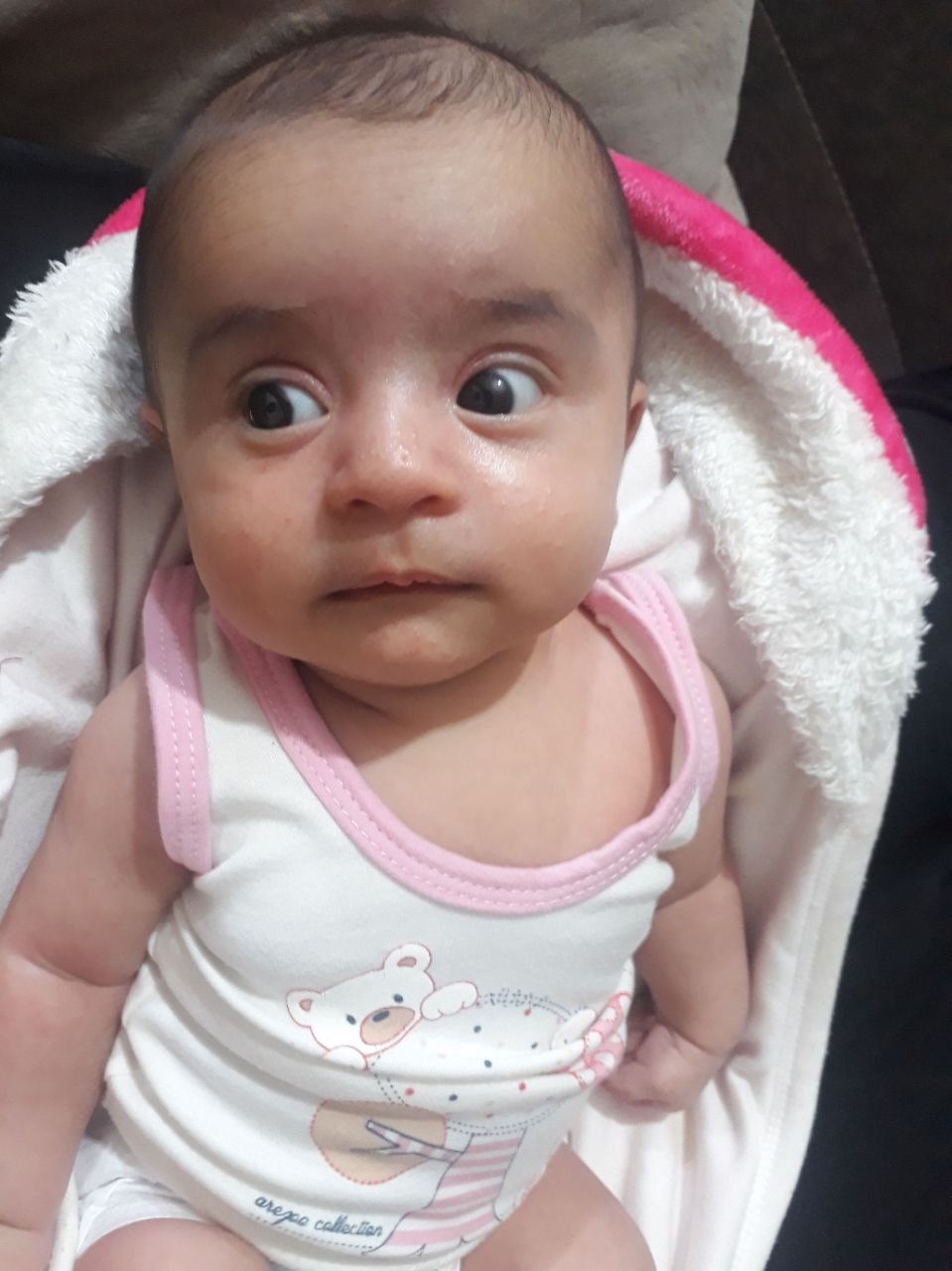 عید نوروز آوا پیرنیا