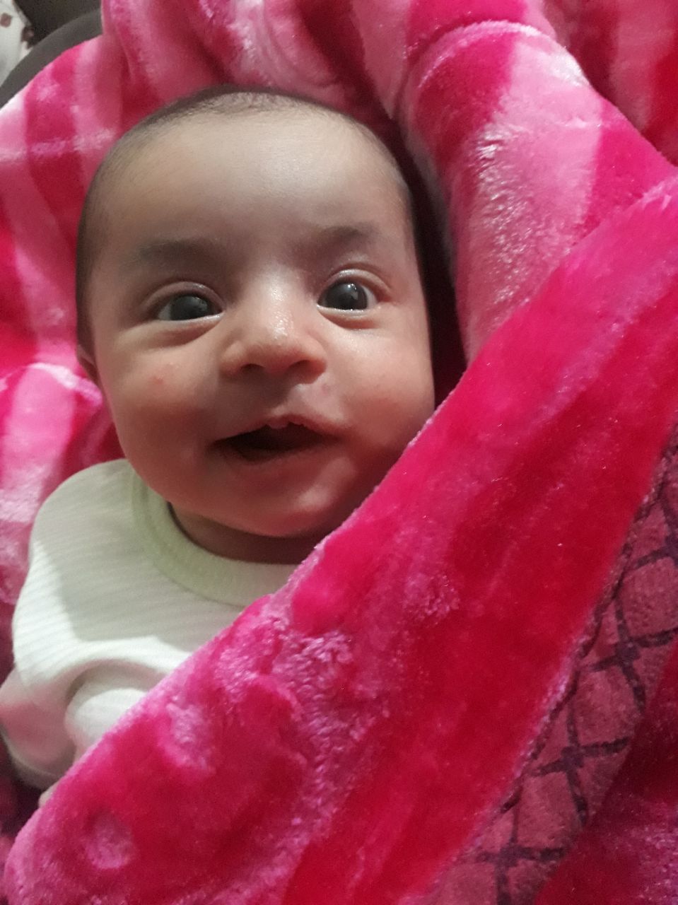 عید نوروز آوا پیرنیا