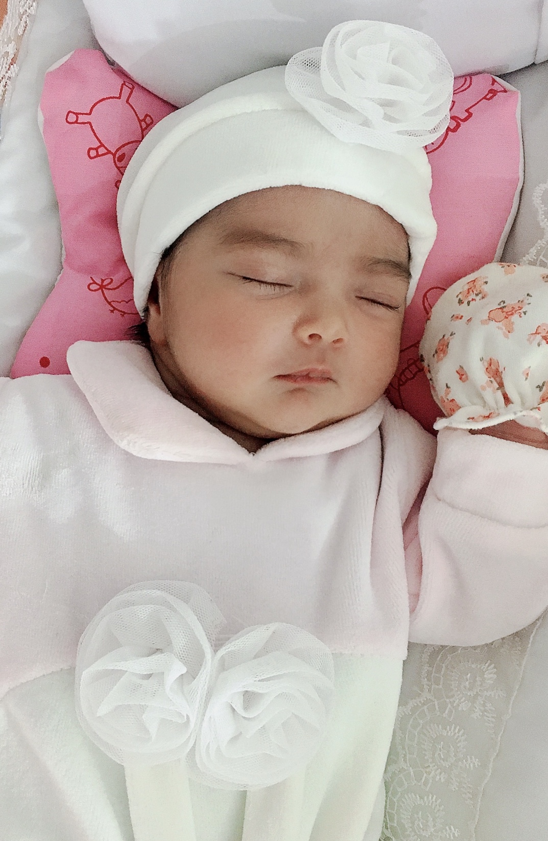 متولد شدن نوزاد ویانا کریمی