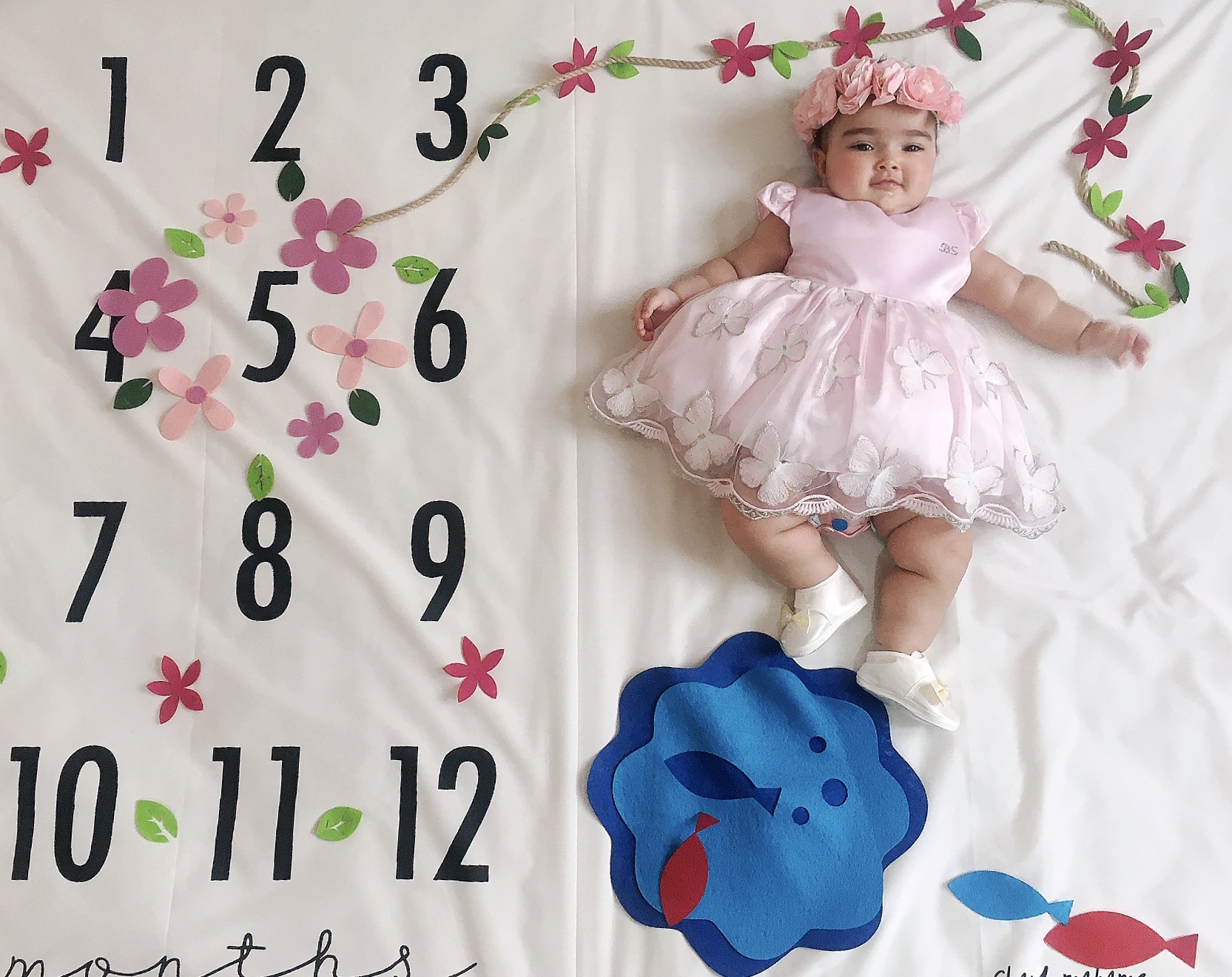 شروع غذای کمکی ویانا کریمی