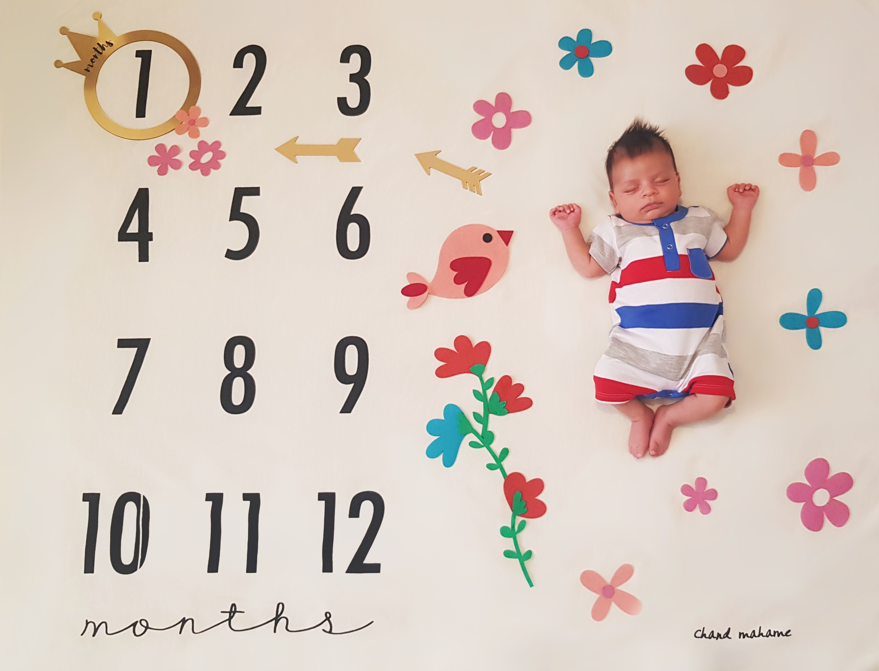 تم-عکاسی-گل-و-بلبل-17254