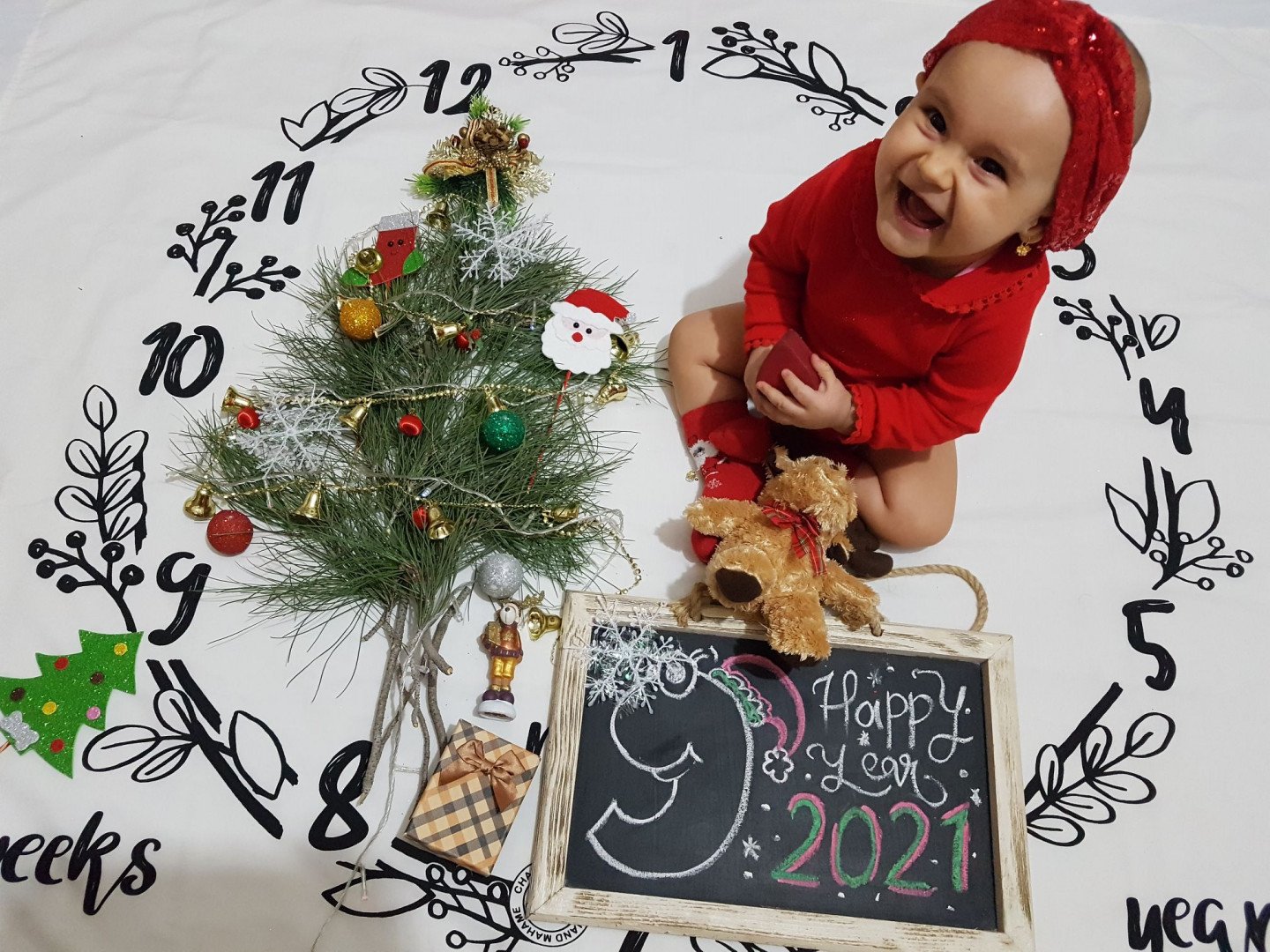 تم عکس زمستانی نوزاد همتا قیاسوند