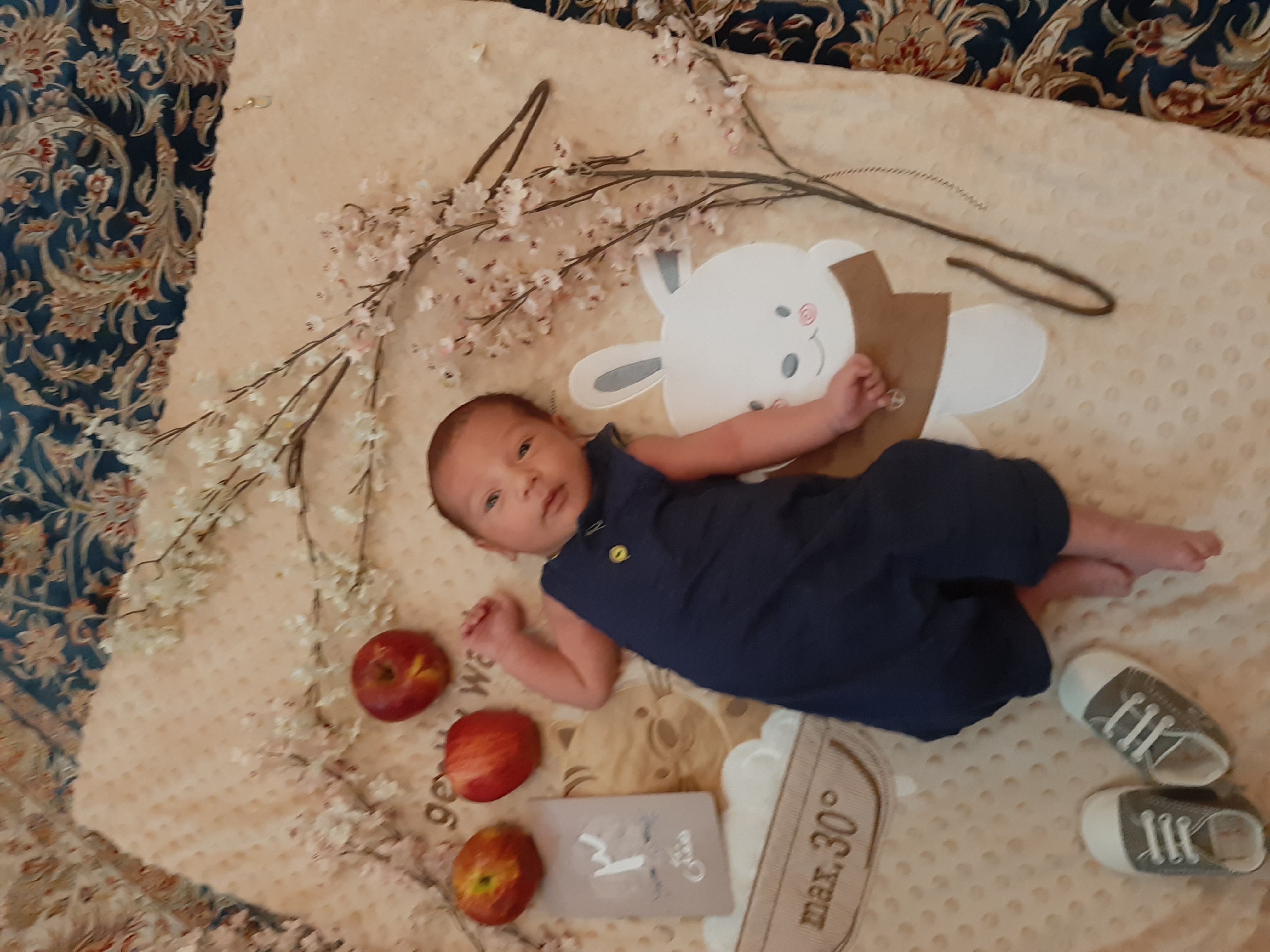 یک ماهگی نوزاد سامین