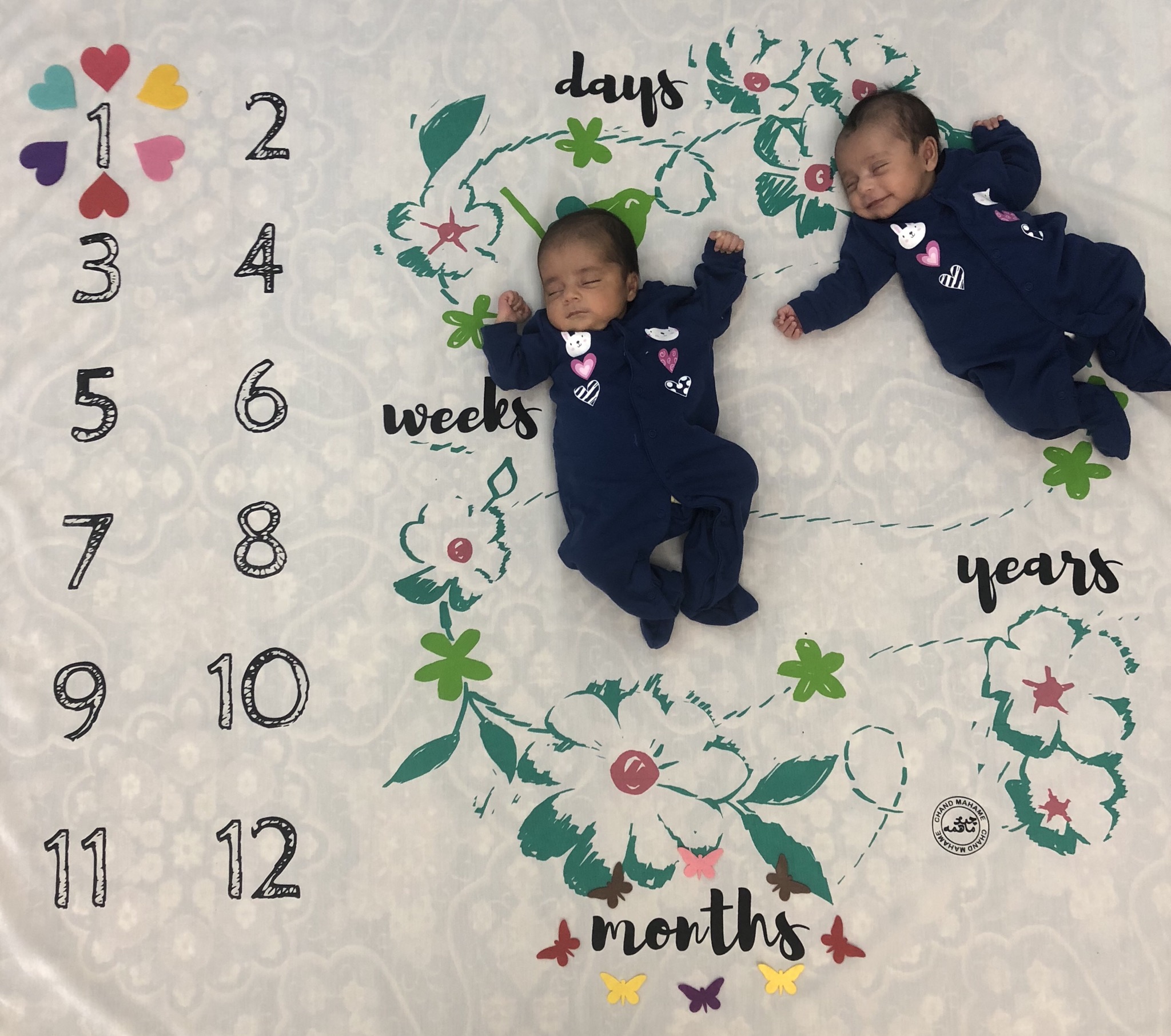 تم-و-تزیینات-نمدی-12229