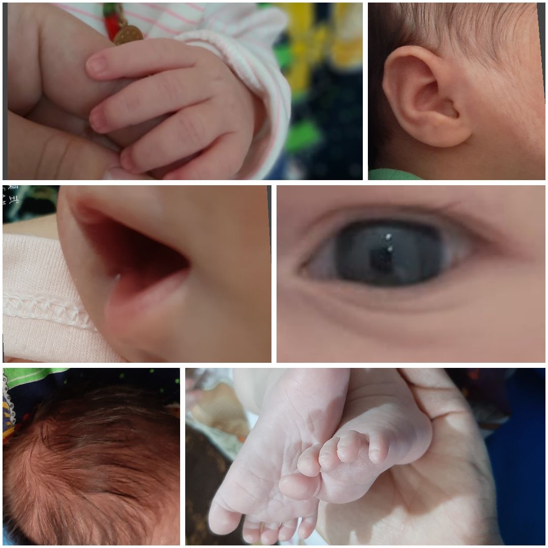 متولد شدن نوزاد دنیز  بیگدلی