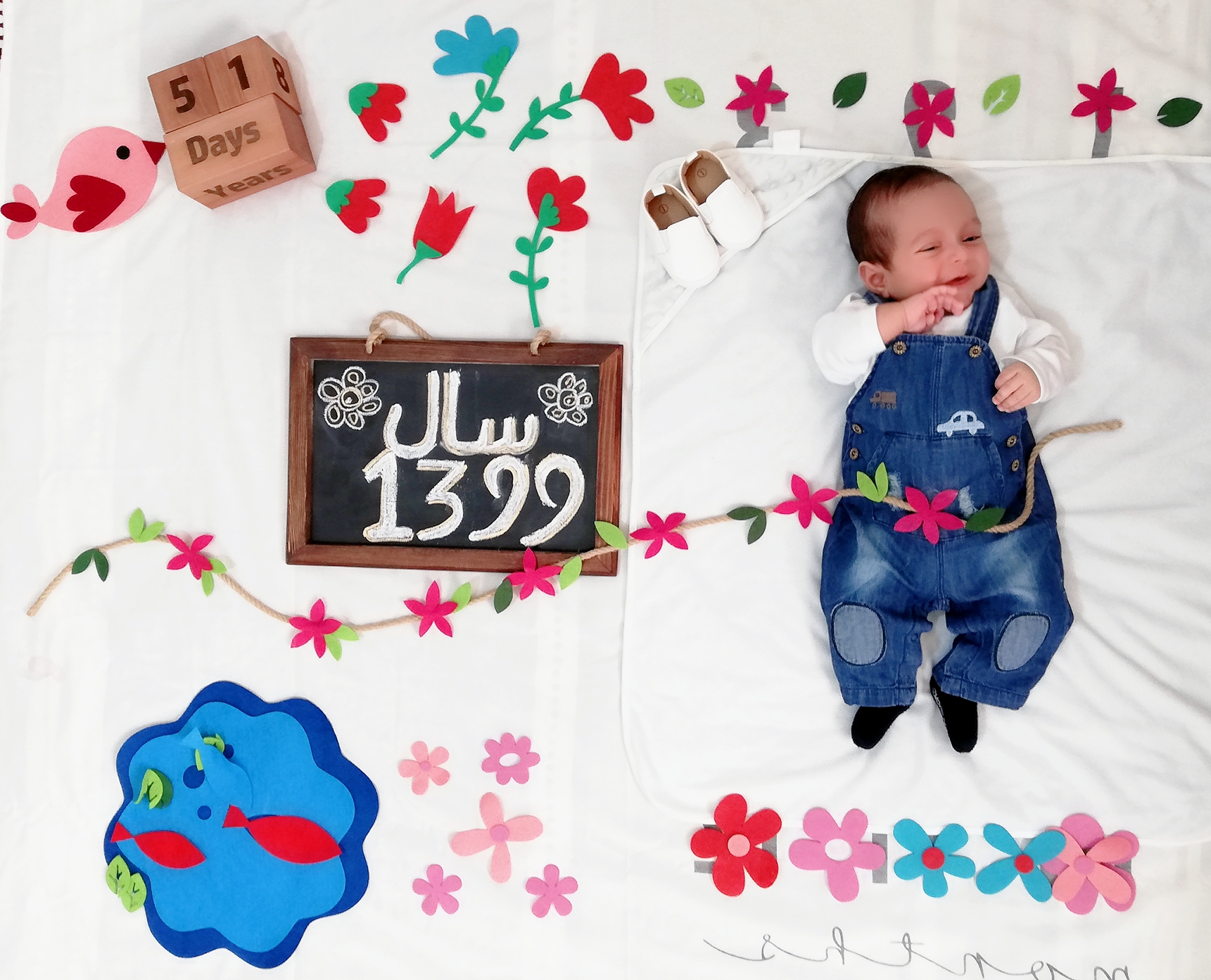 تم-عکاسی-گل-و-بلبل-12303