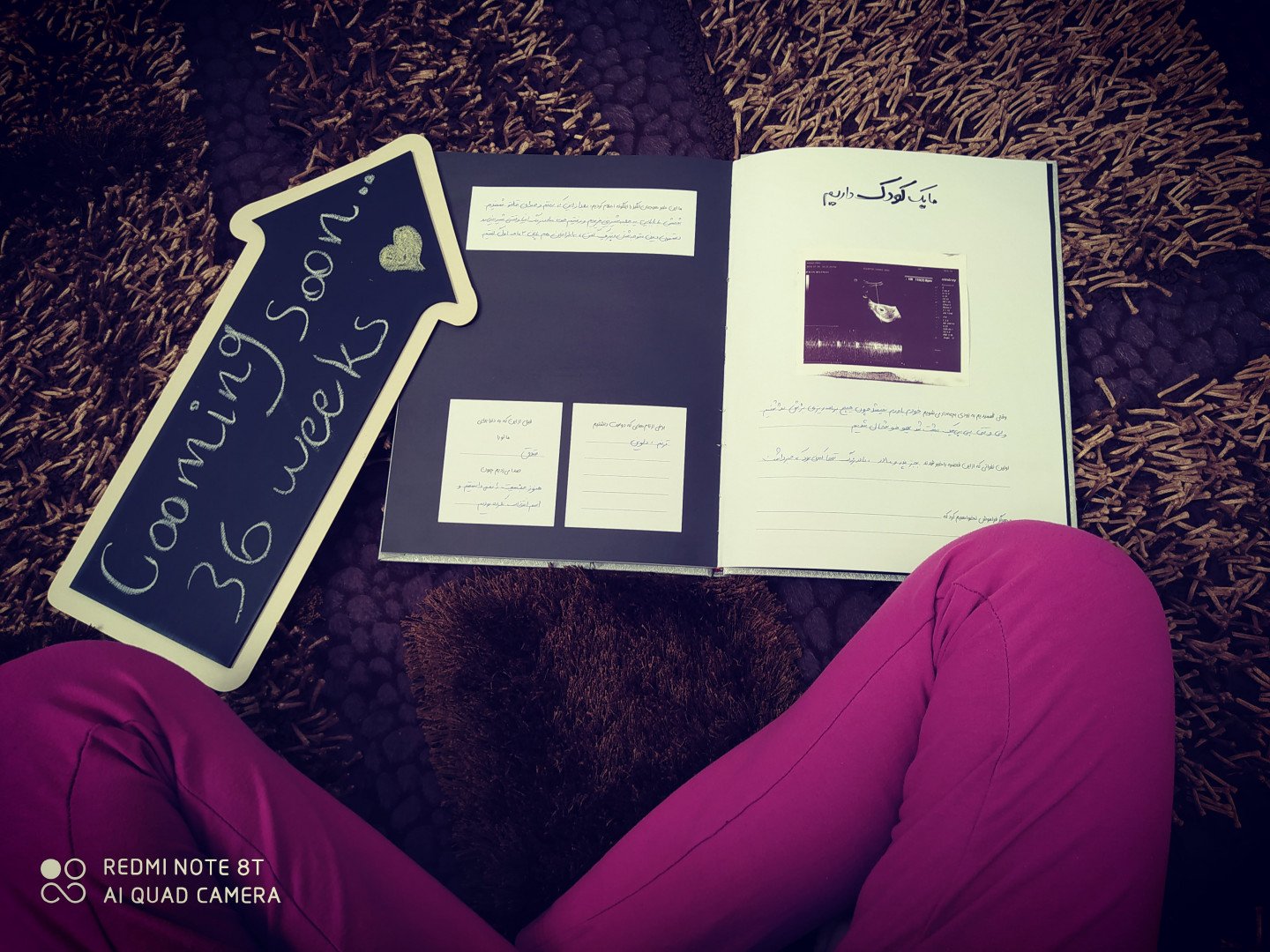 بارداری دلوین سالاری