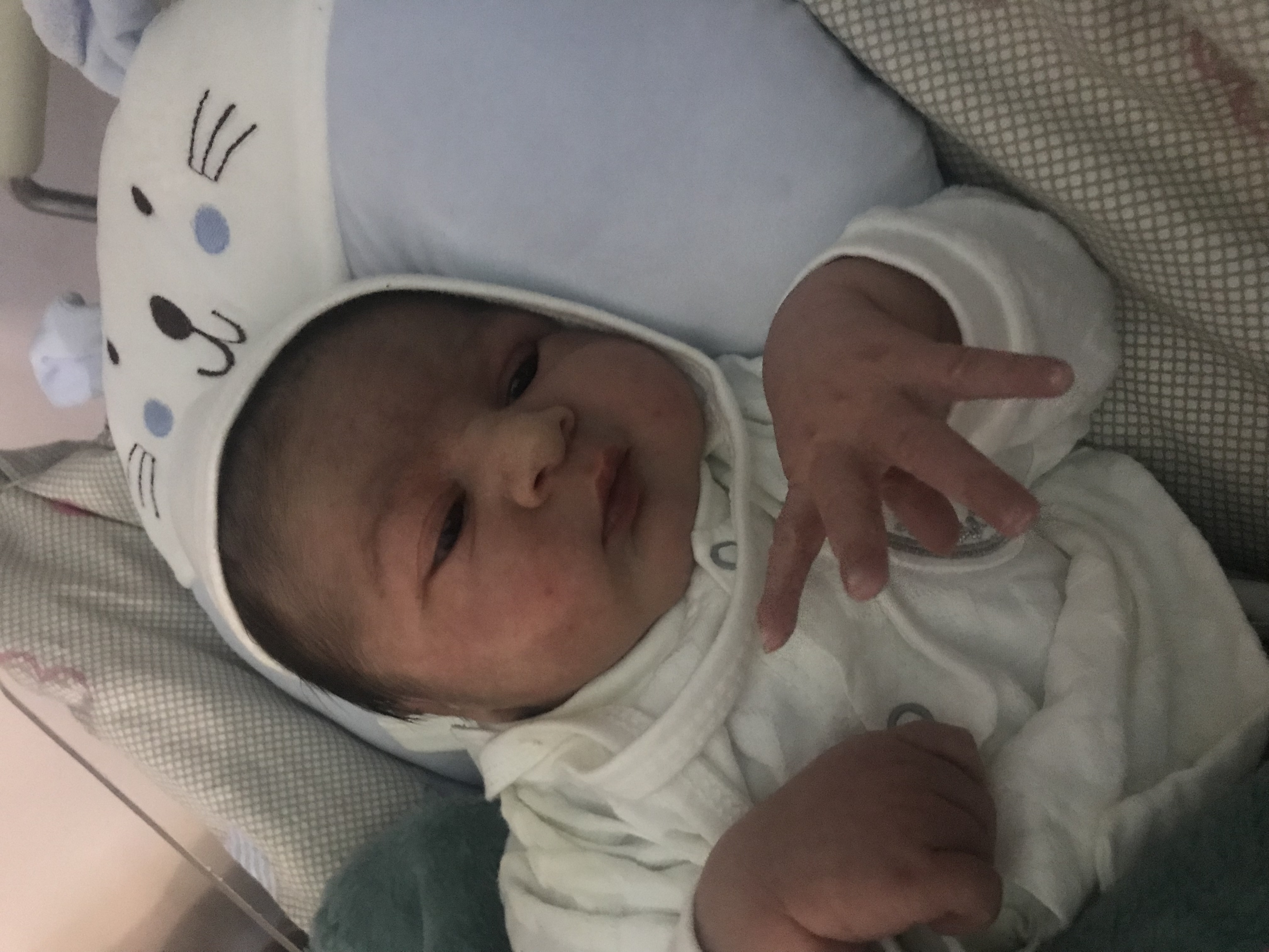 متولد شدن نوزاد فرهان فاريابي