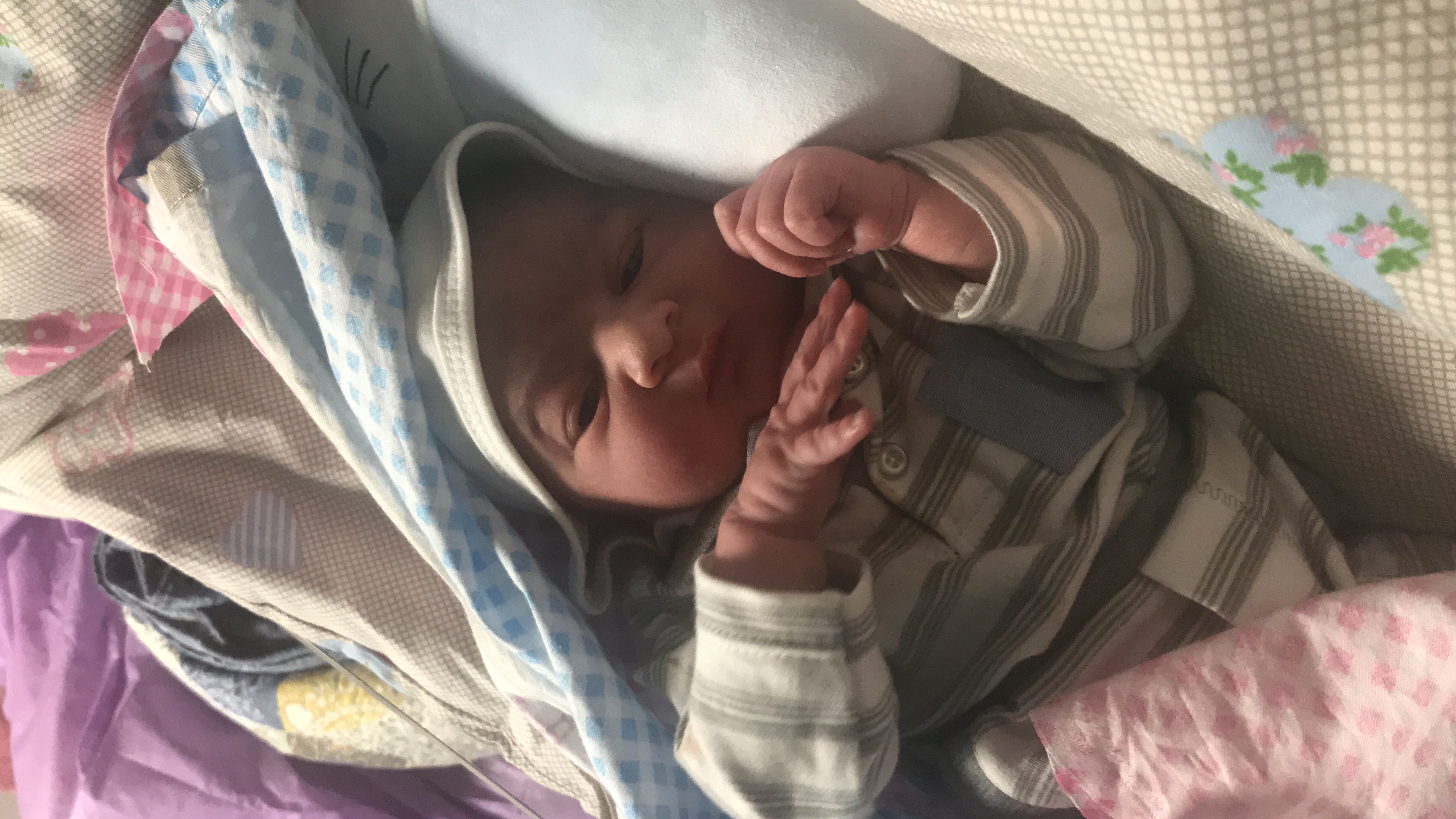 متولد شدن نوزاد فرهان فاريابي