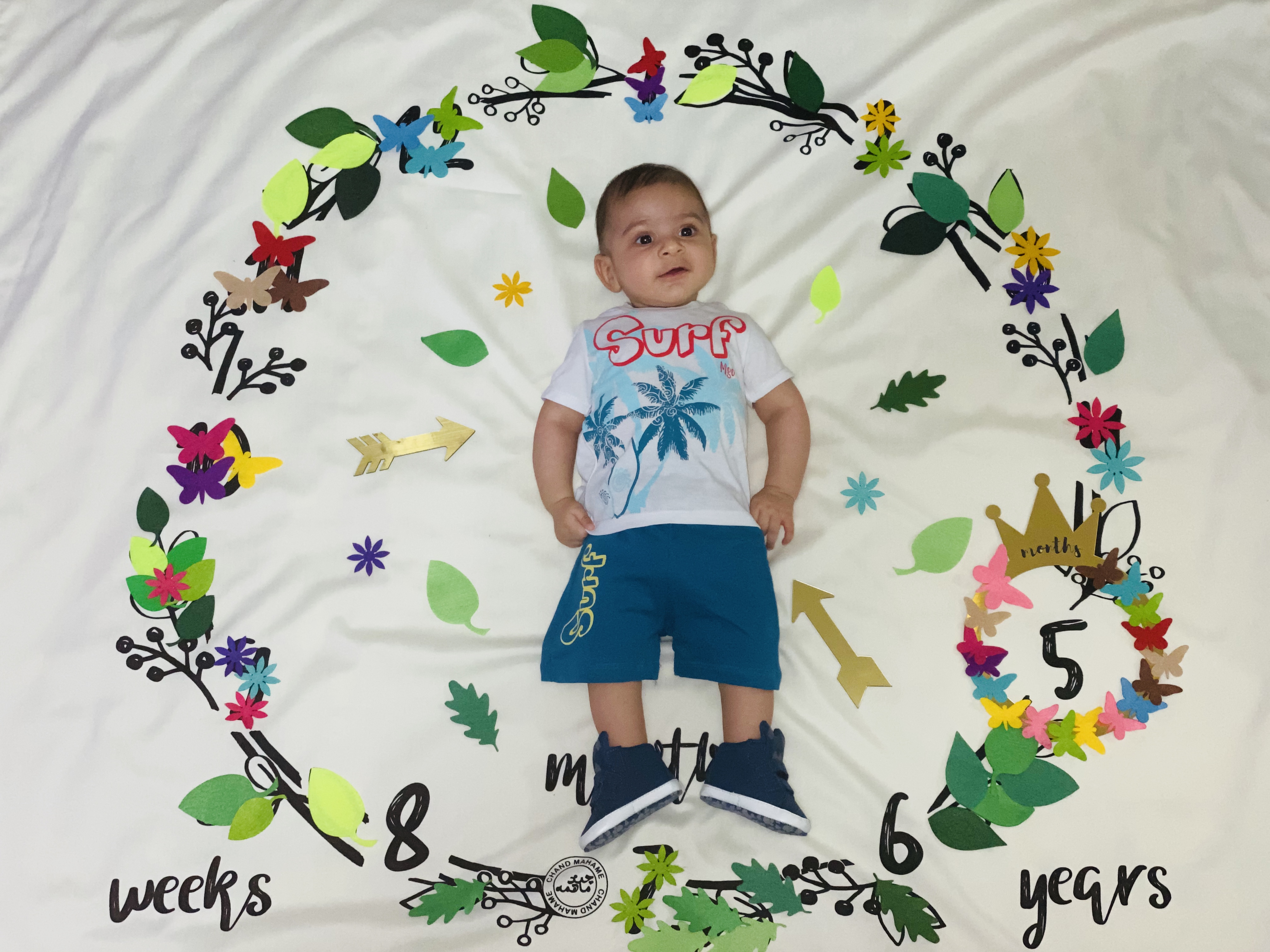 تم-های-عکاسی-13995