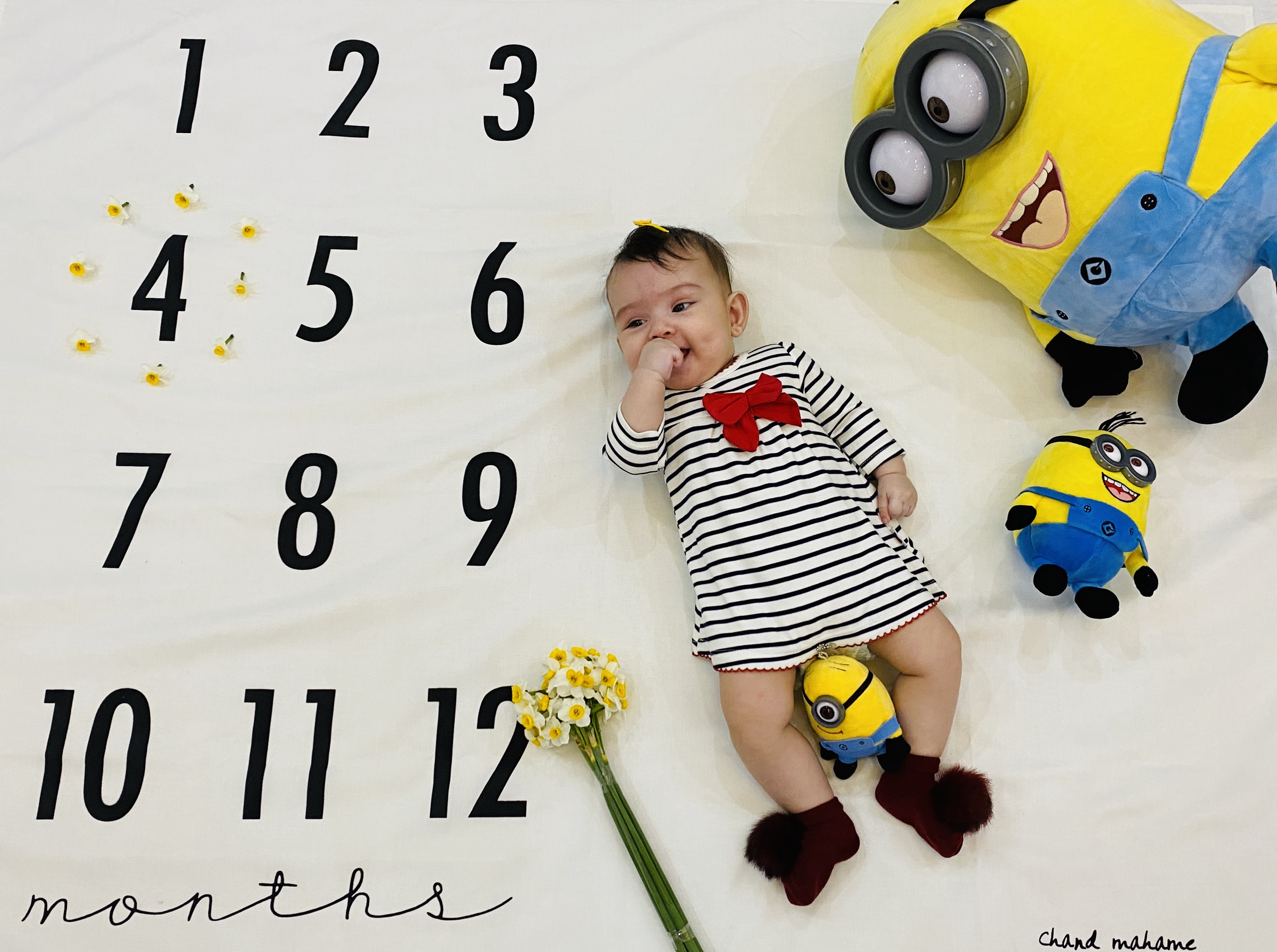 عکس نوزاد دختر نيلا كرماني