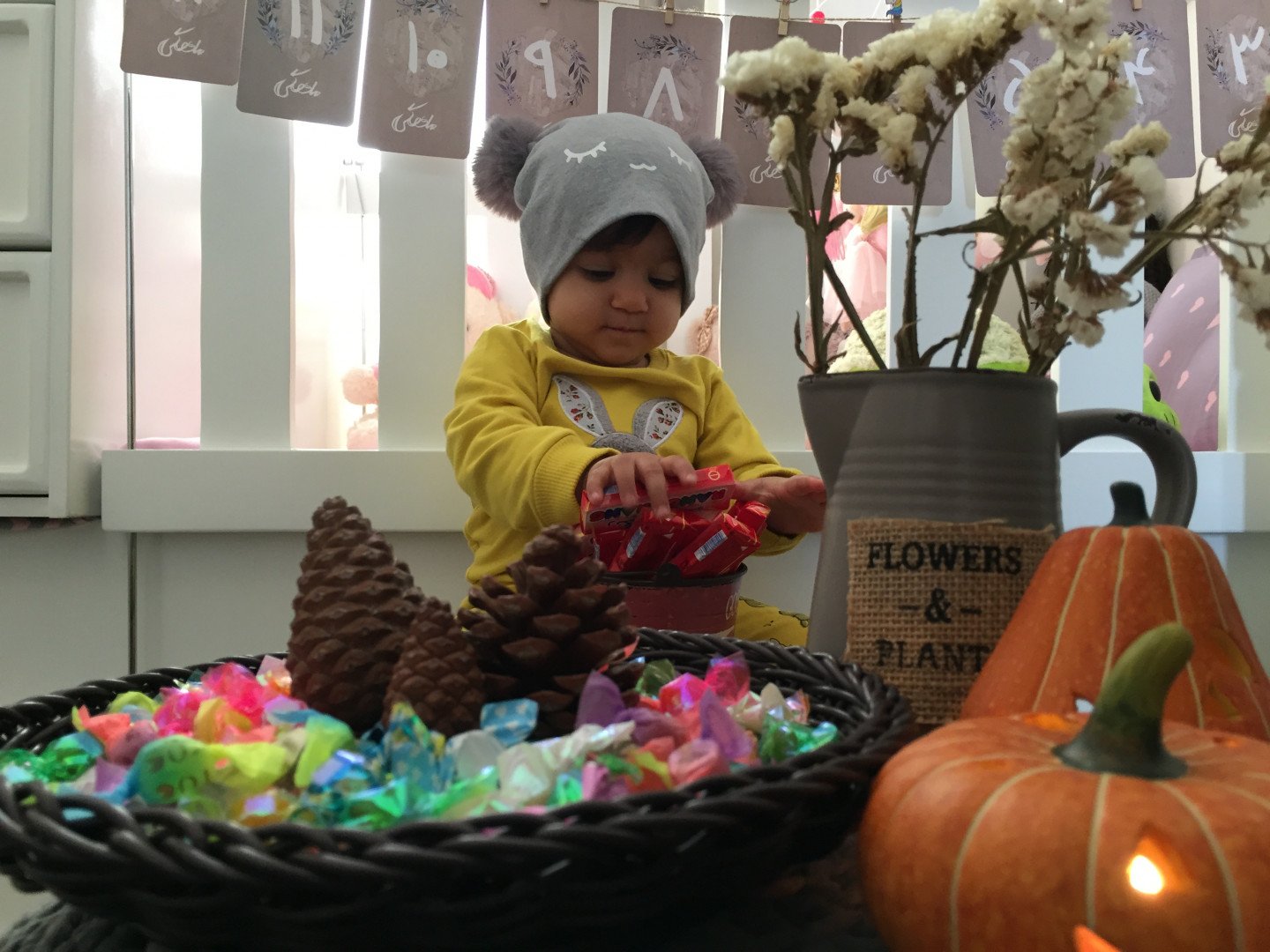 کارت خاطرات اولین ها نگارا كرمي