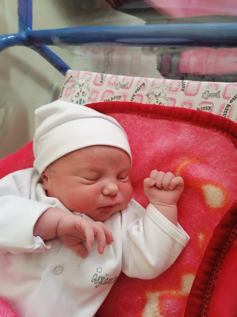 متولد شدن نوزاد سوین موحد