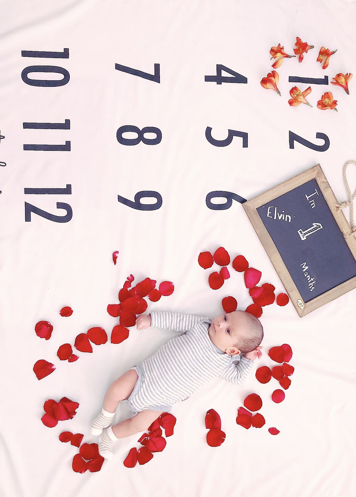 تم عکس بهاری کودک الوین احمدی میرقائد