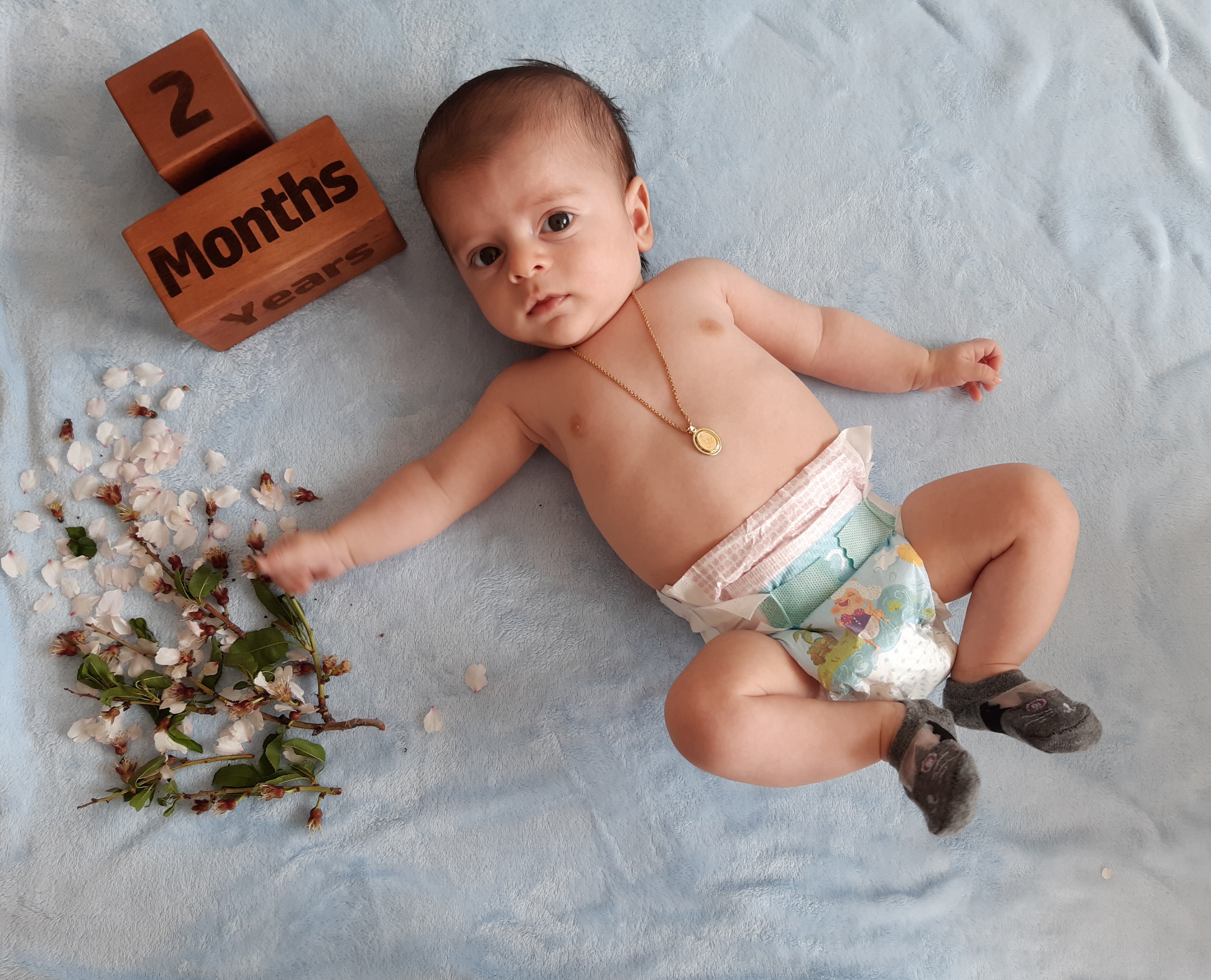 تم عکس بهاری کودک محمد نصرتی نژاد