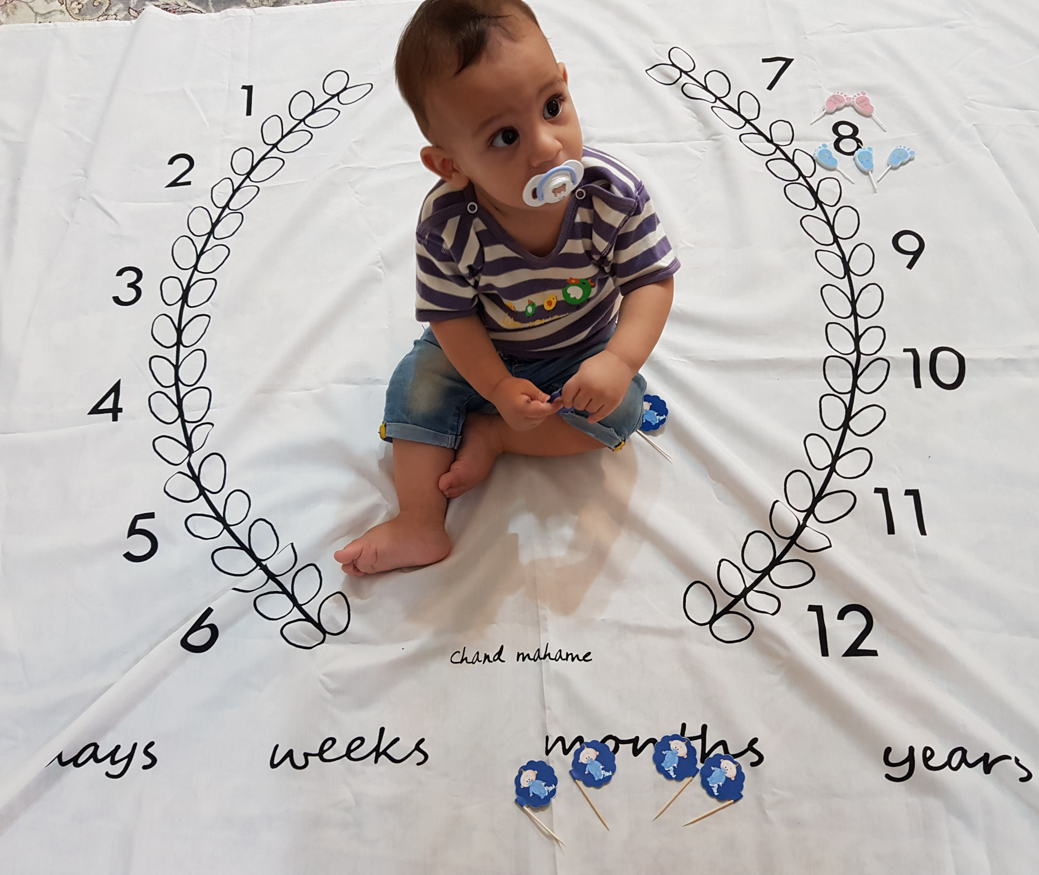 هشت ماهگی نوزاد نجاتی