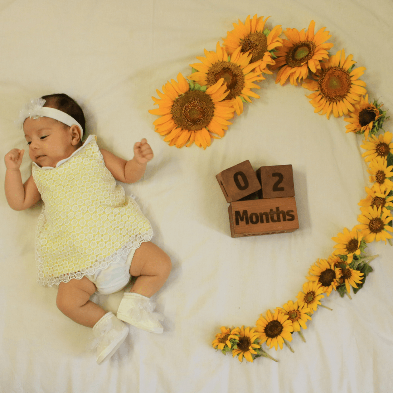 مکعب-تاریخ-شمار-ویژه-19764