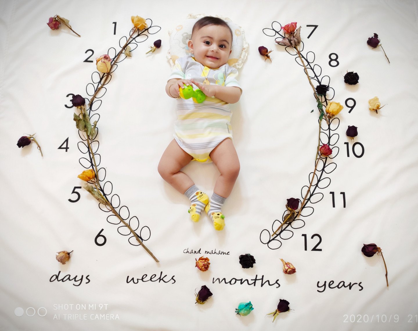 دوازده ماهگی نوزاد رادمان خالقی