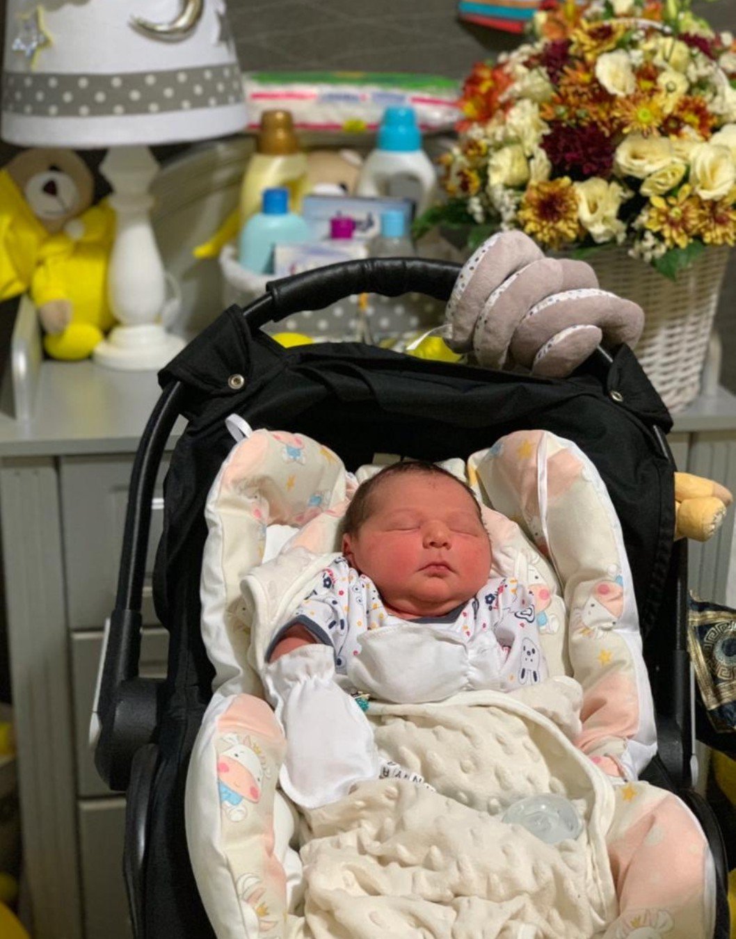 متولد شدن نوزاد جانیار