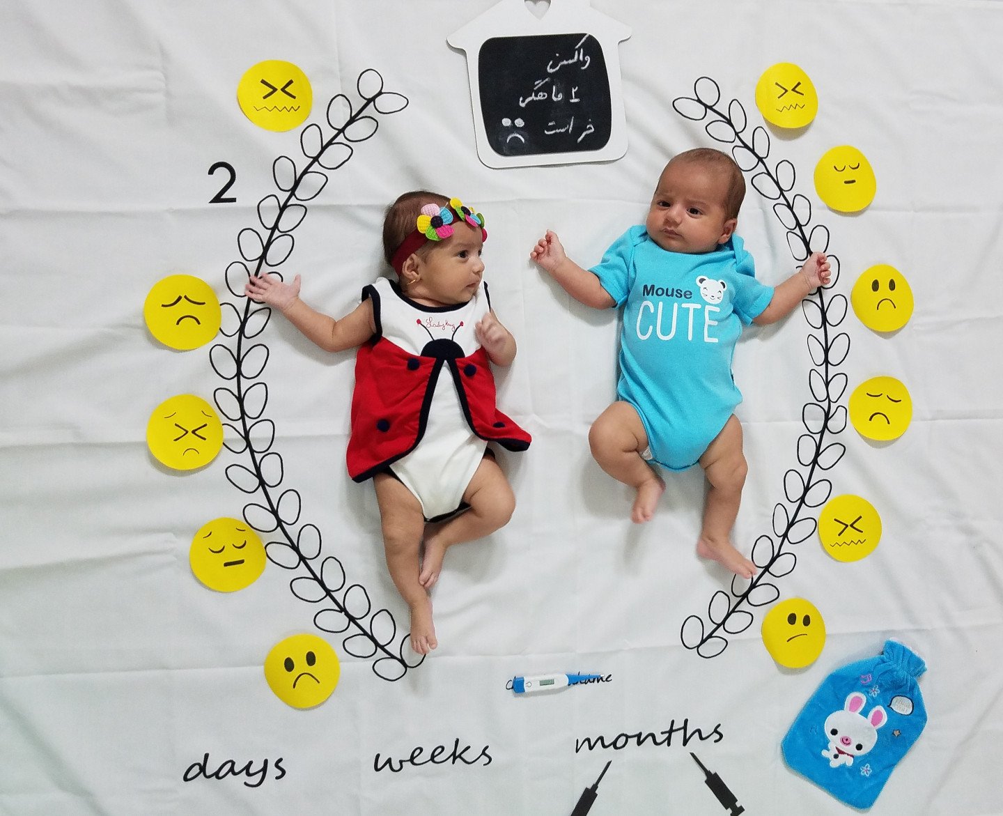 ایده نارین  و نویان شهبازی