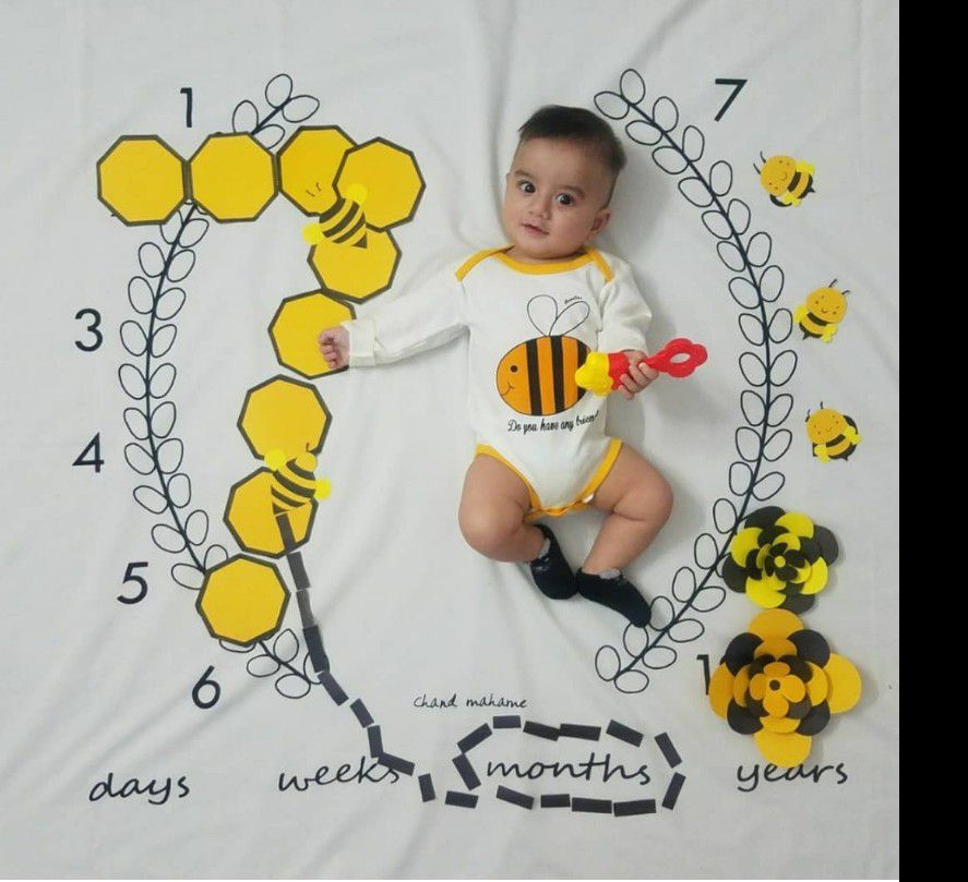 ایده نارین  و نویان شهبازی