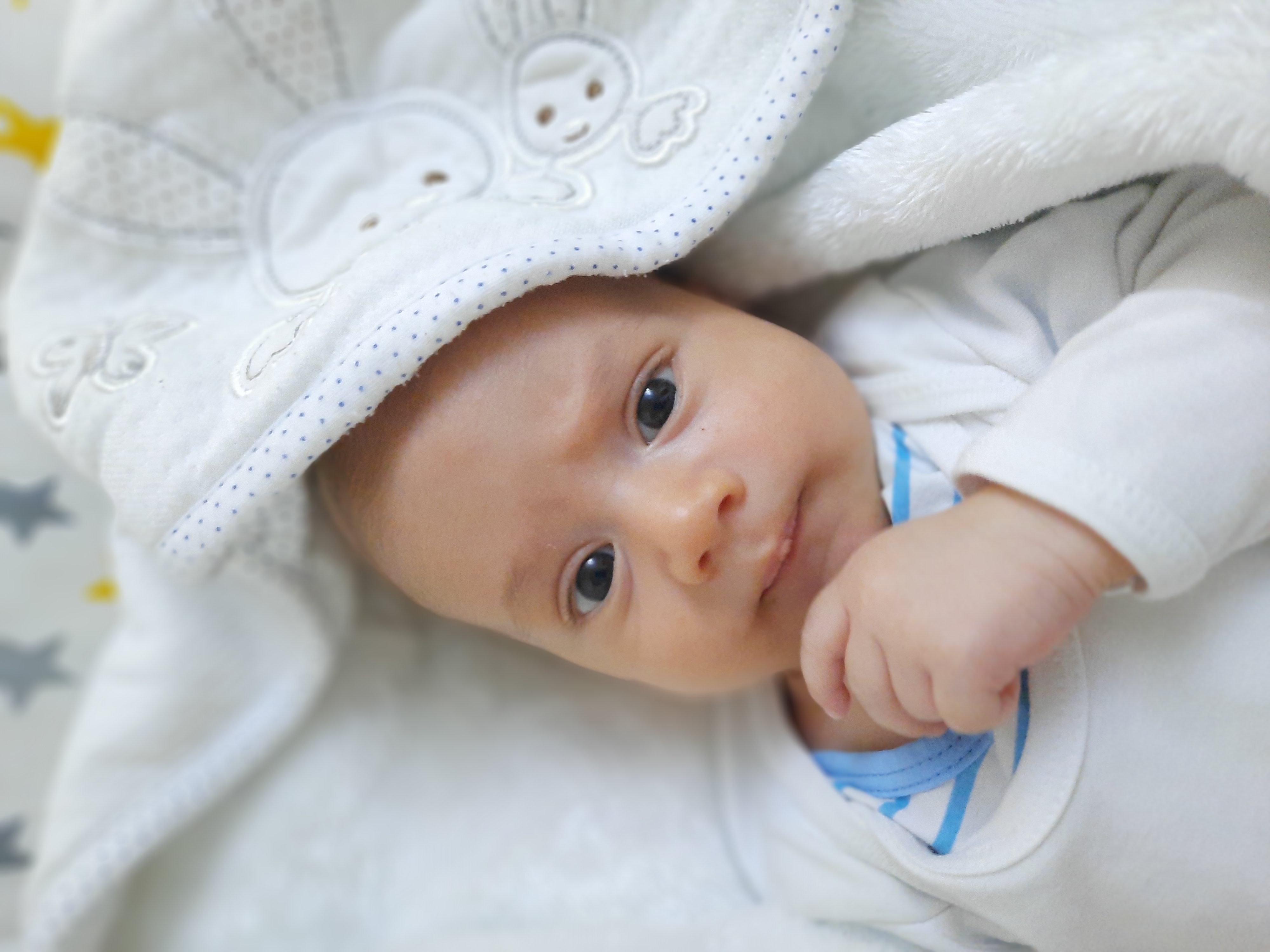 یک ماهگی نوزاد فاران پیشرویان ورکی