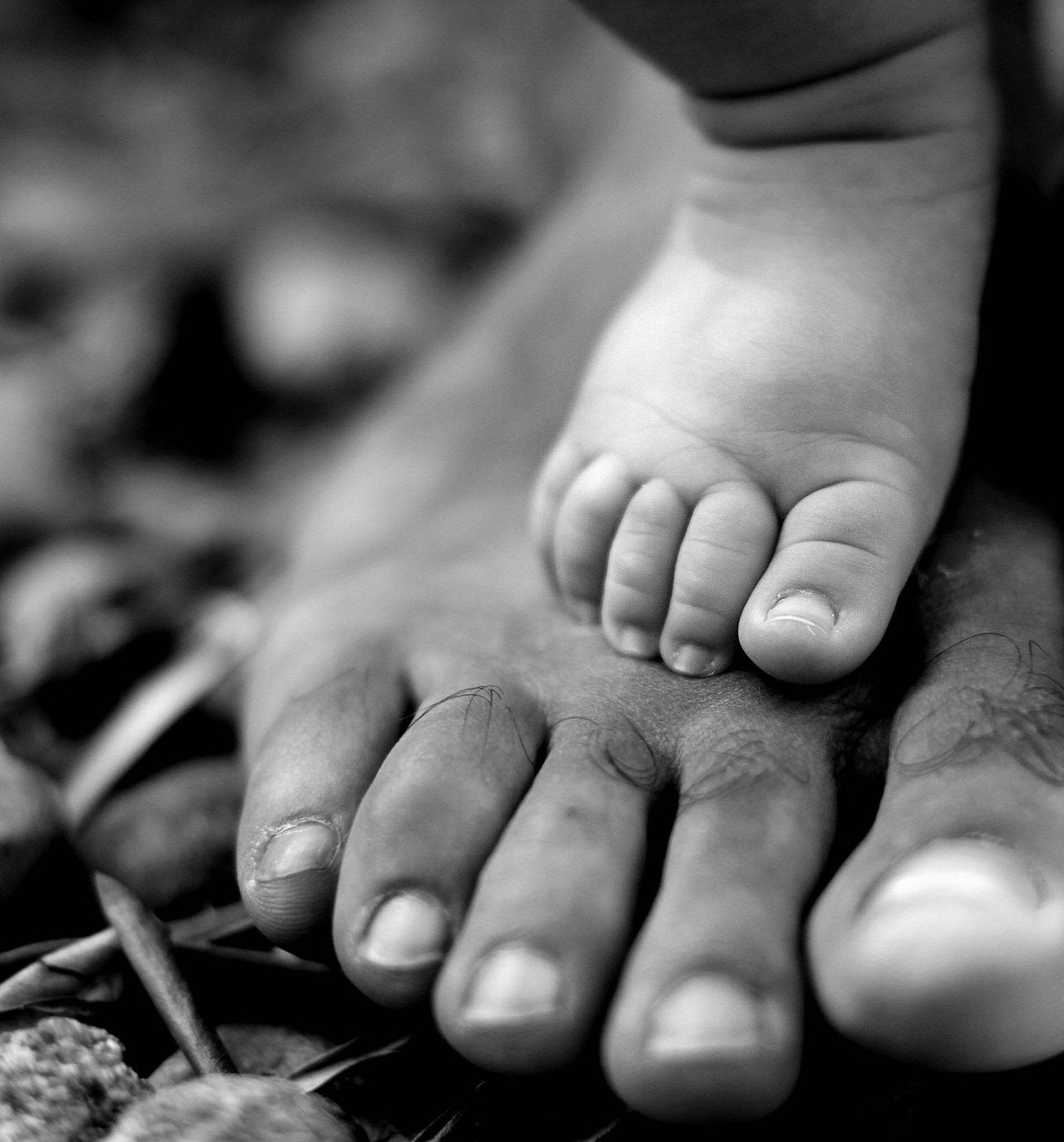 عکس نوزاد با پدر مامان فندق