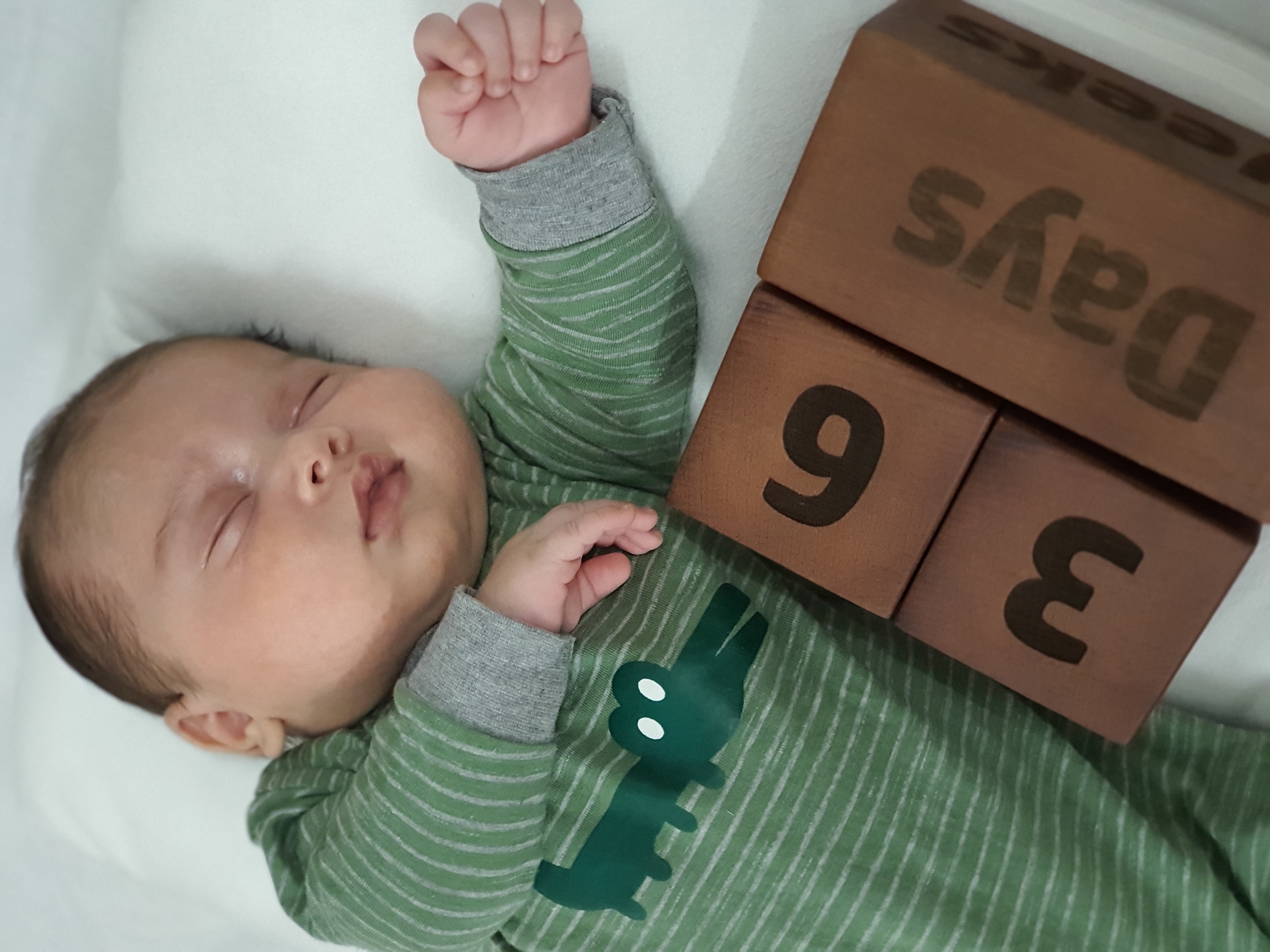 تم عکس بهاری کودک شاهان گنجعلی