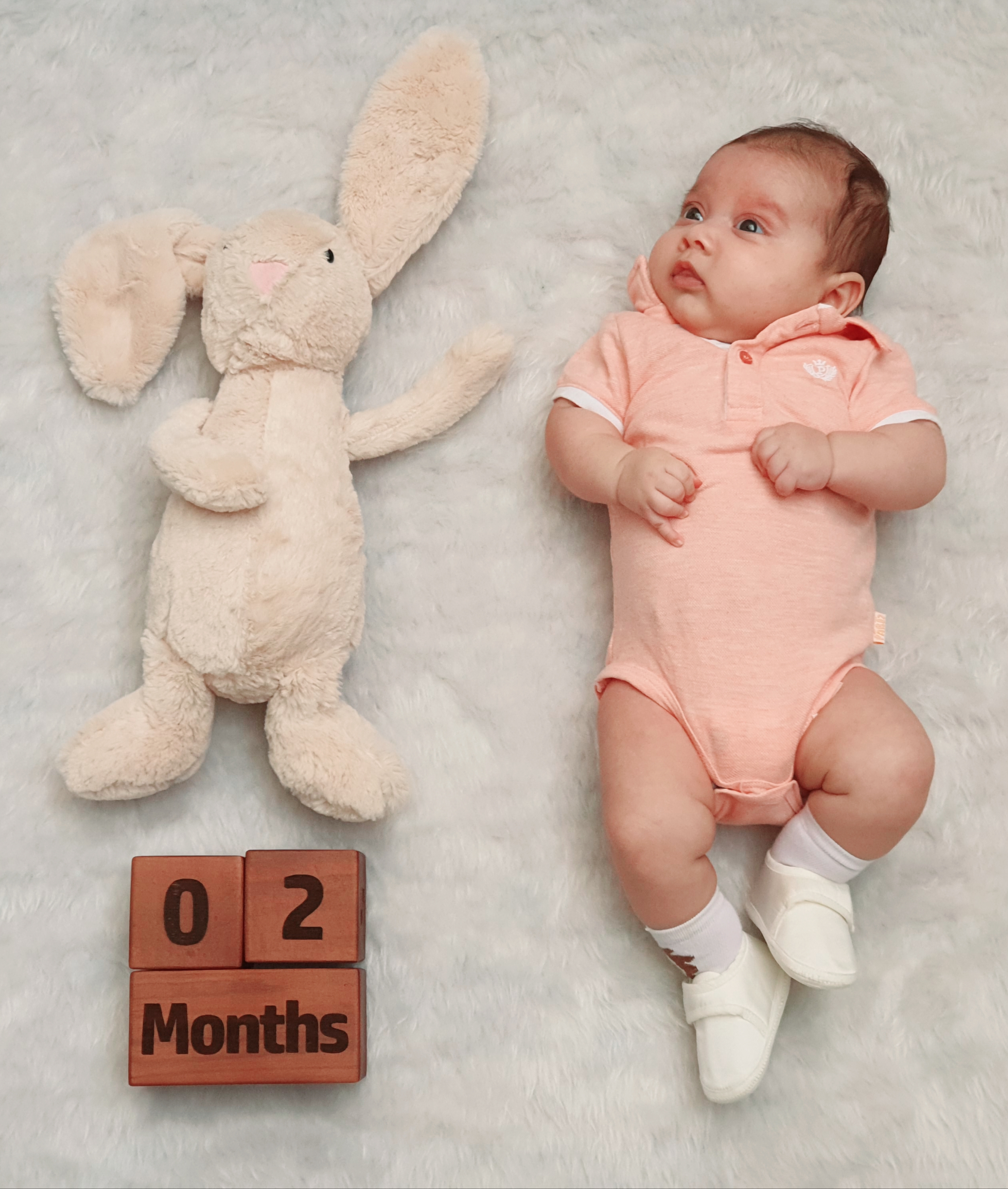 مکعب تاریخ شمار ویژه شاهان گنجعلی