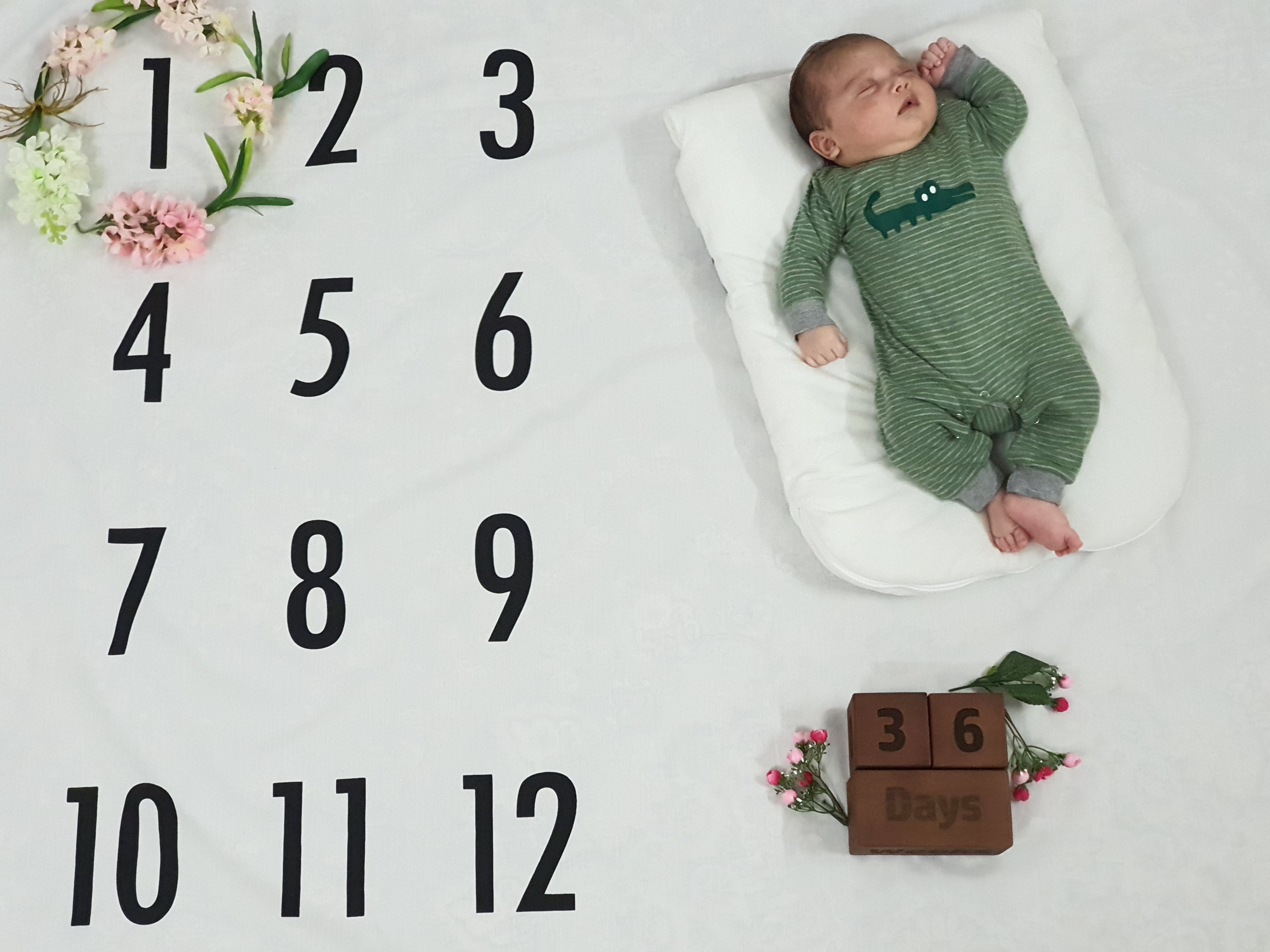 تم عکس بهاری کودک شاهان گنجعلی