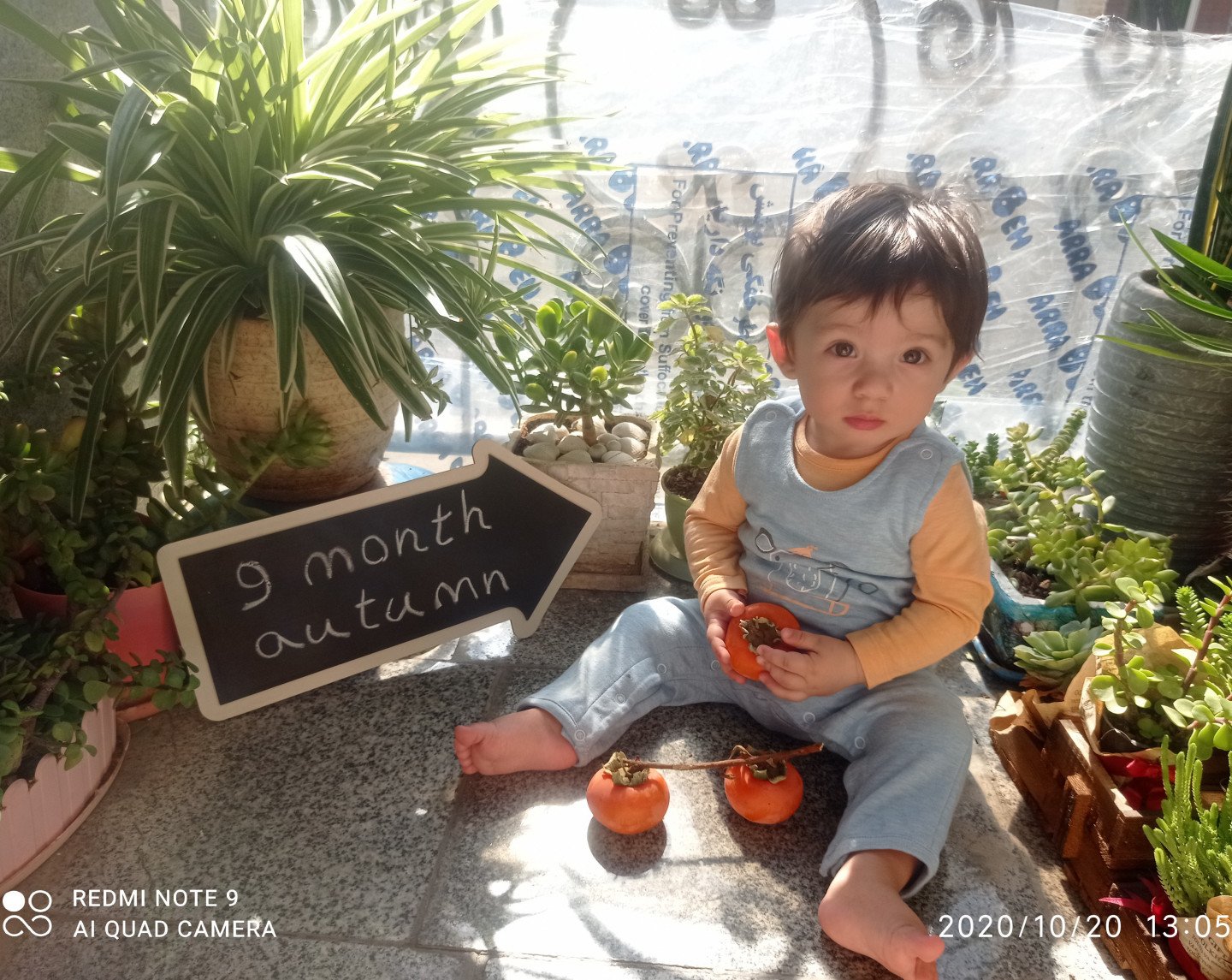 تخته سیاه گچی مدل فلش رادین سعادتی