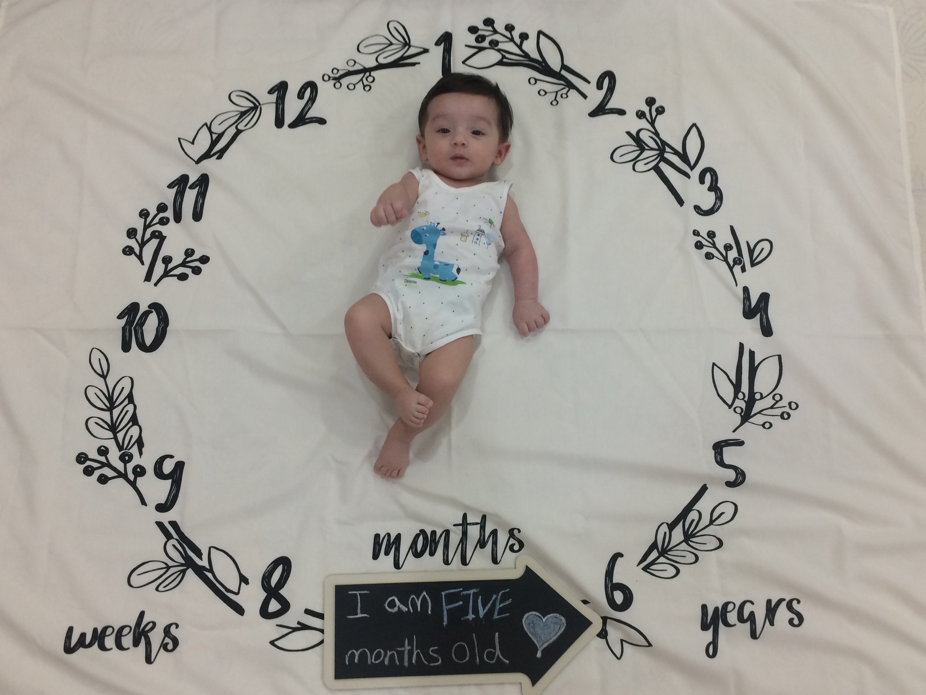 تخته سیاه گچی مدل فلش رادین سعادتی