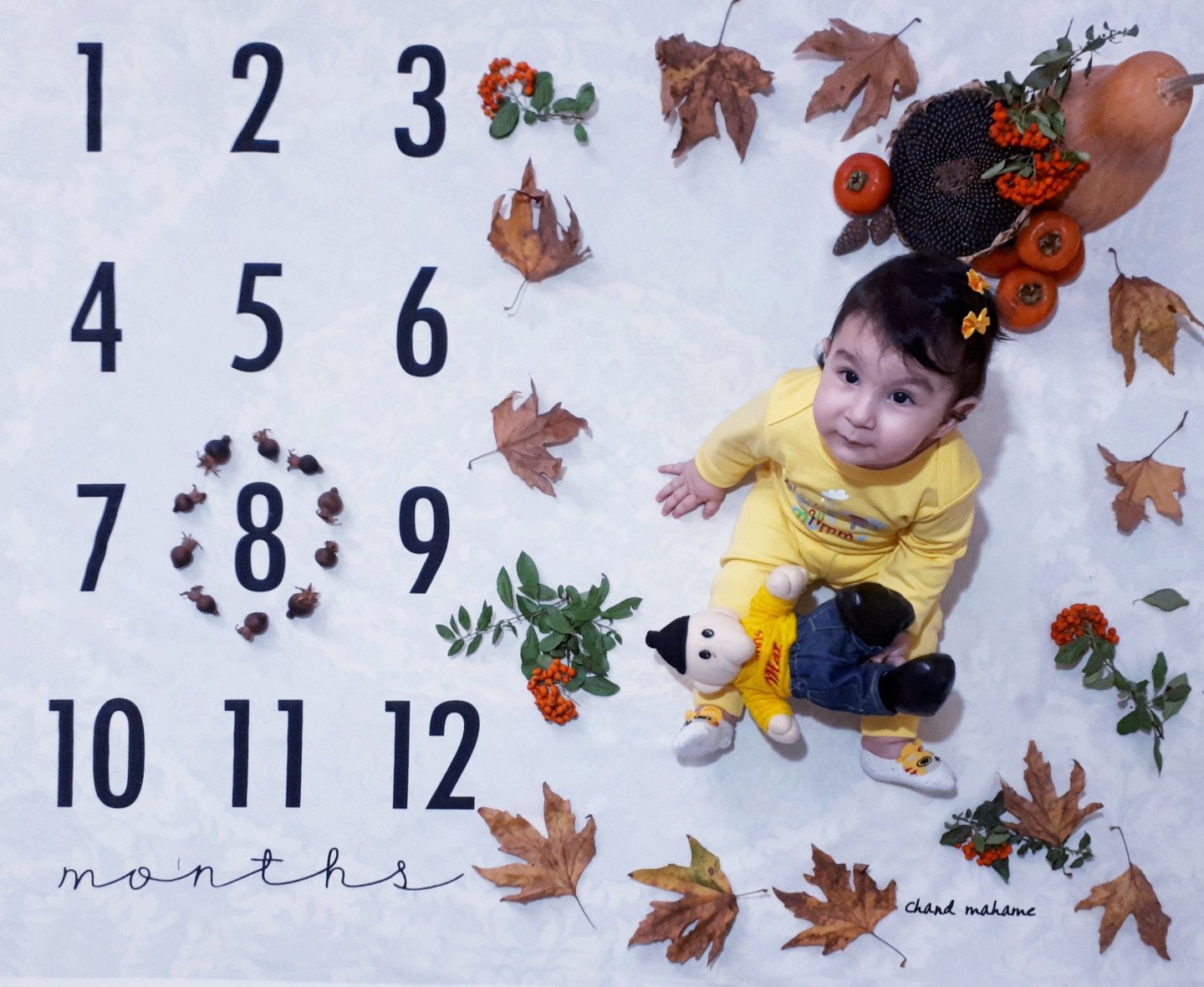 تم عکس پاییزی نوزاد هانا رسولی