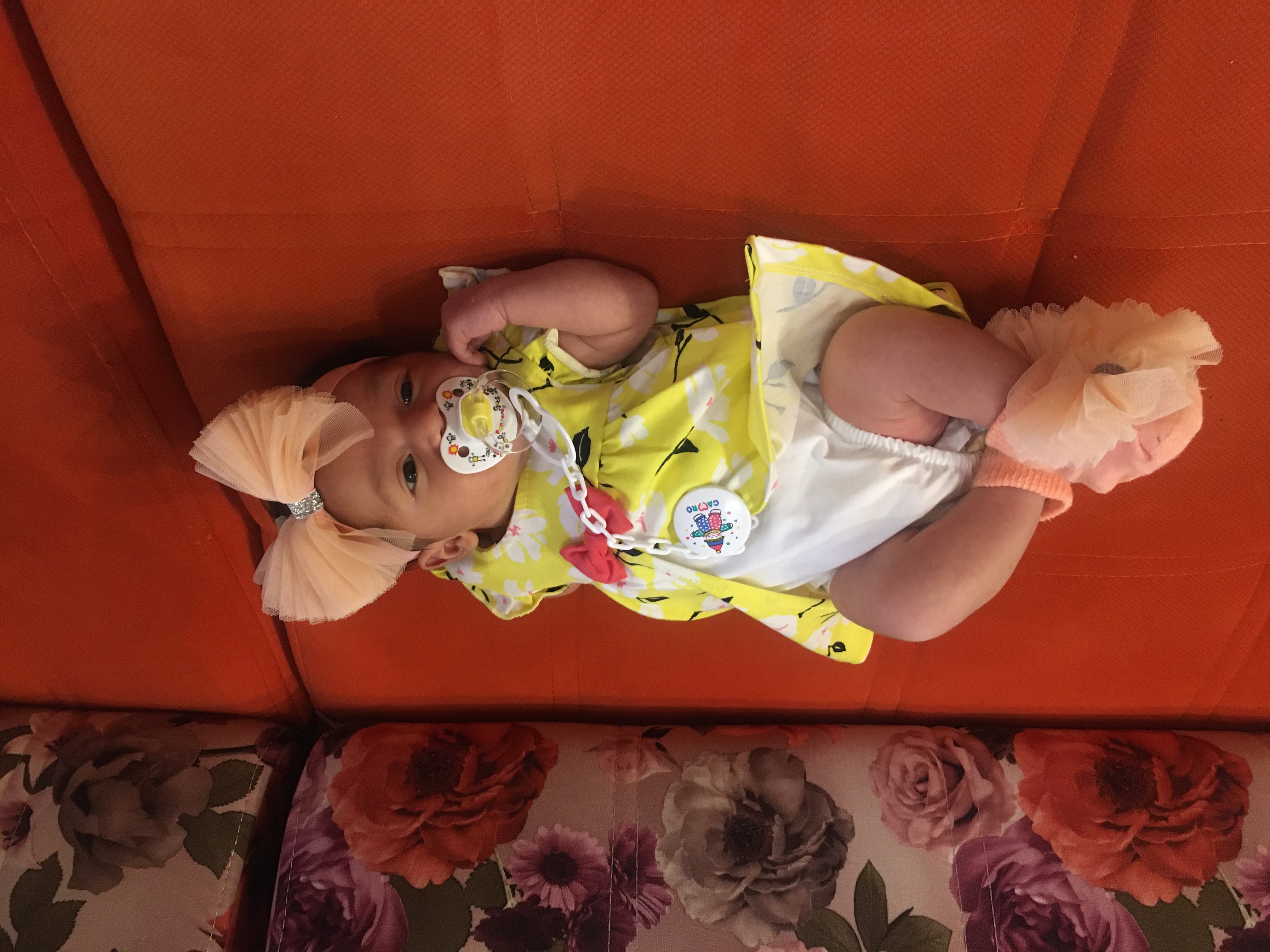 تم عکس بهاری کودک Ellarose asadi