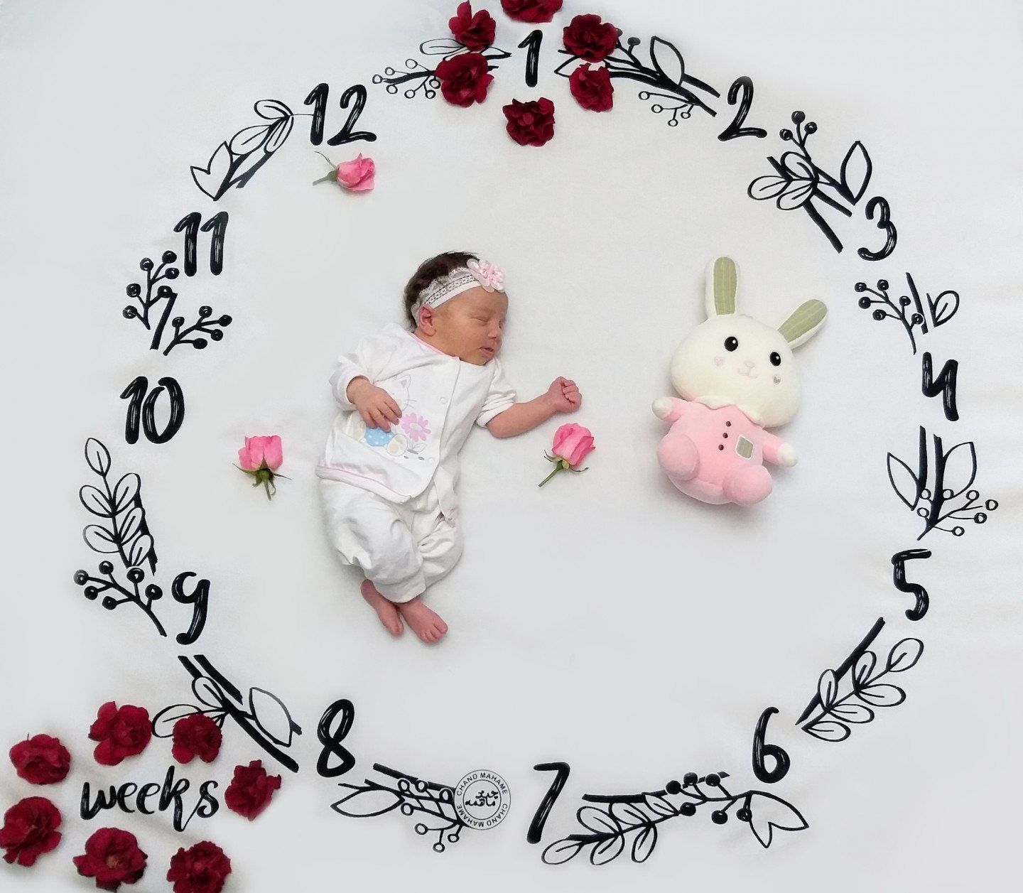 یک ماهگی نوزاد سلوا میرزایی