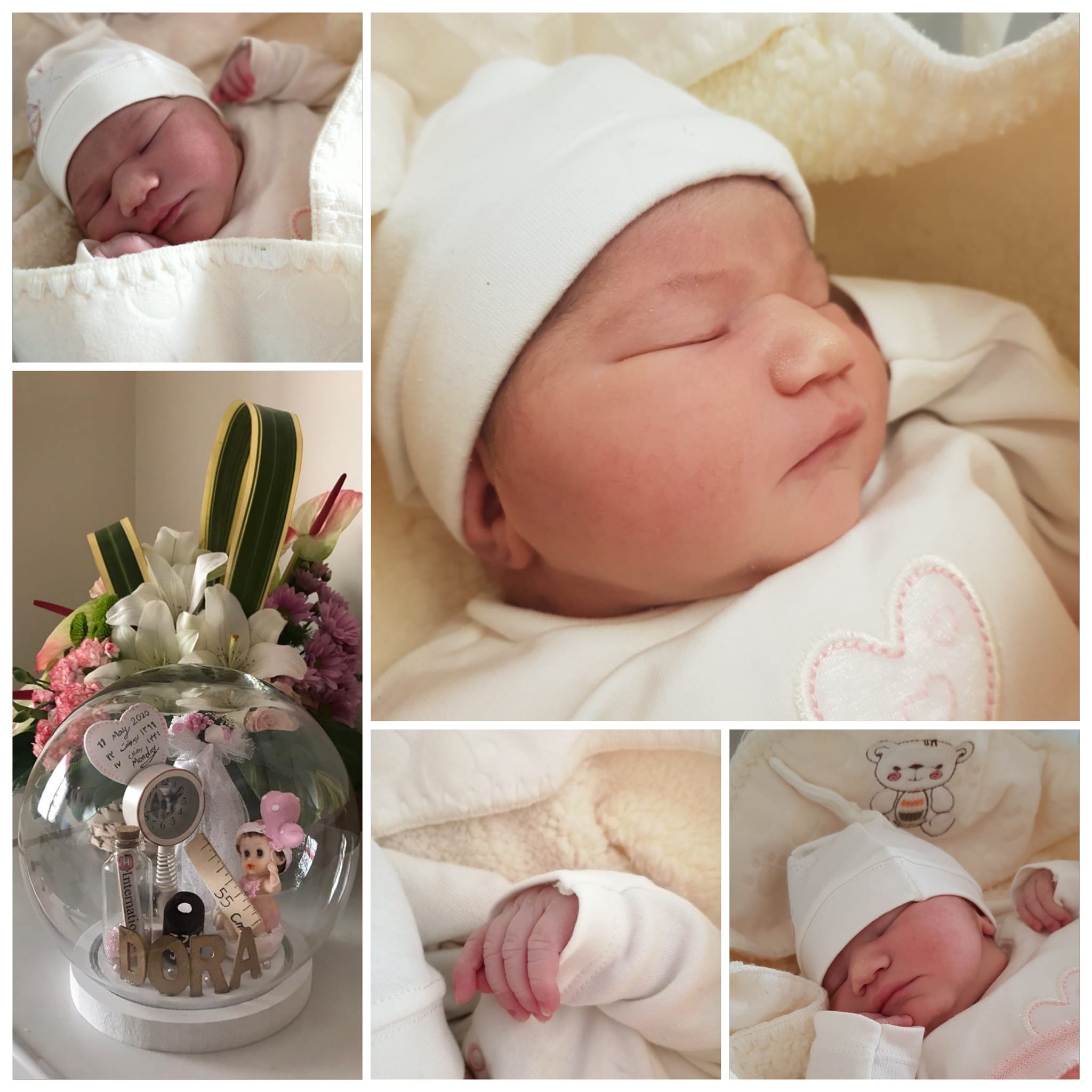 متولد شدن نوزاد رحمانی زاده